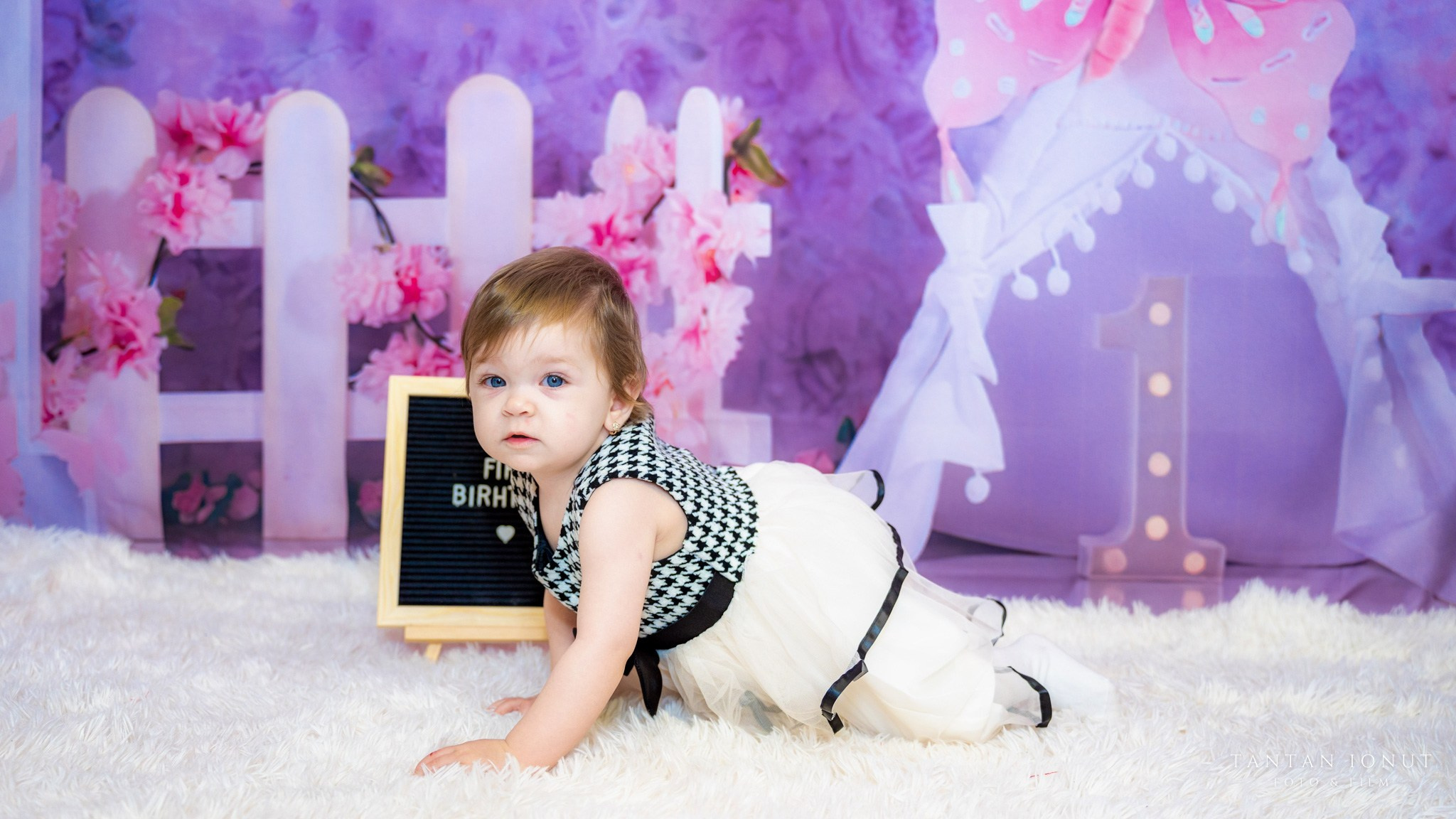 Sedinta foto Smash The Cake 1 An Sofia. TANTAN IONUT FOTO & FILM