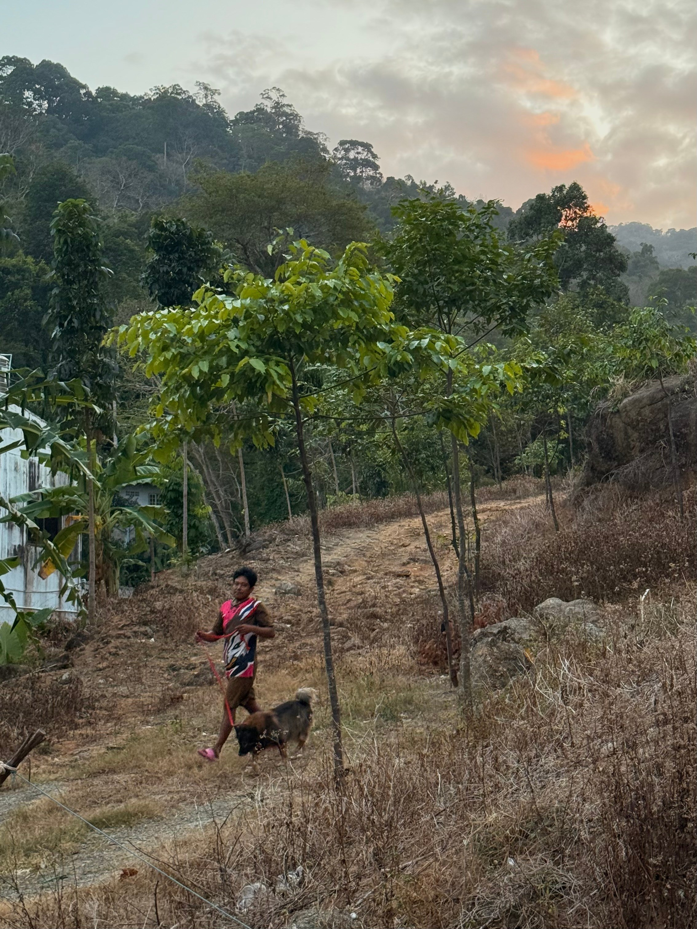 Phuket_2024/2025. Портретный фотограф Алена Новгородцева