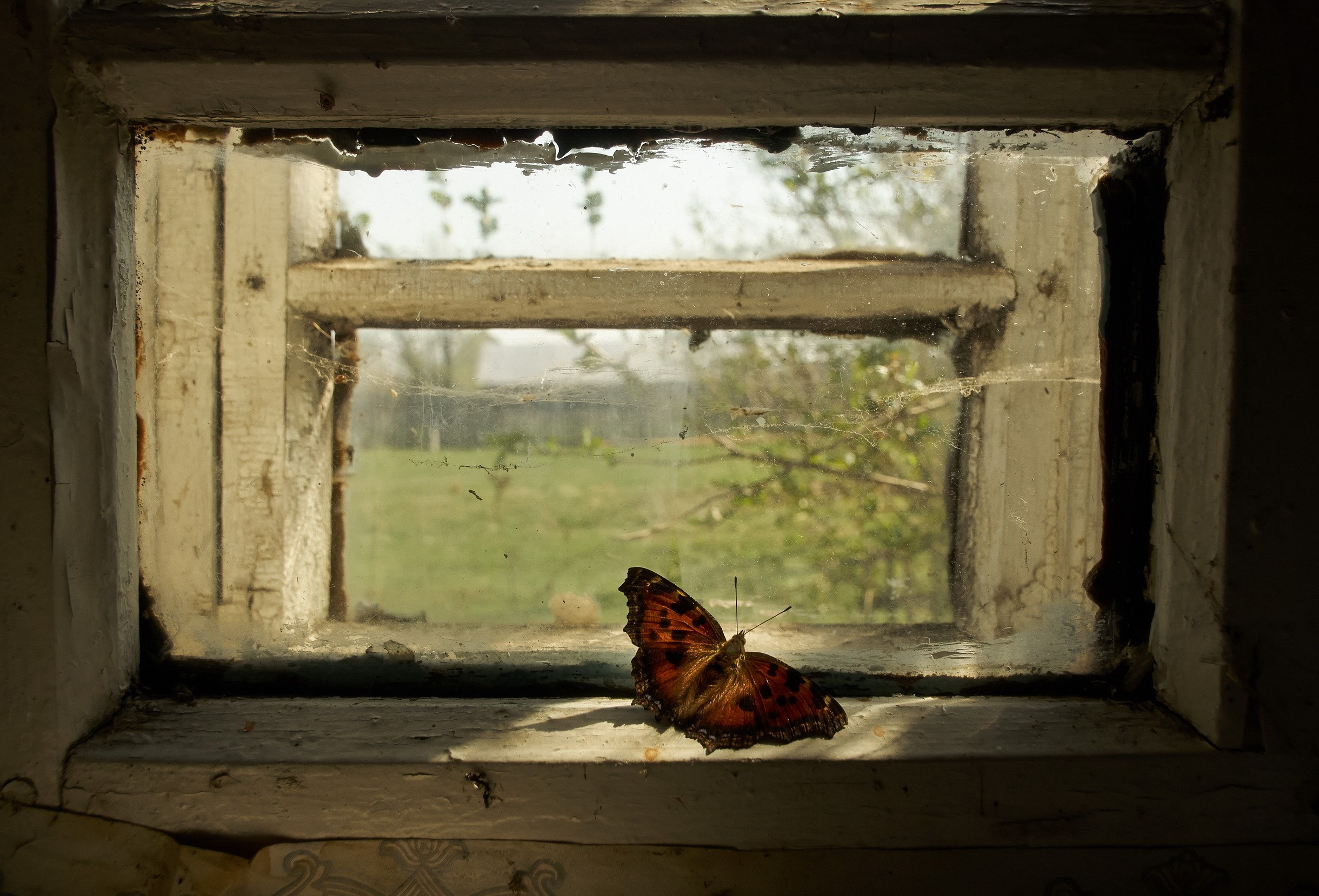 Nature & Wildlife. Yuri Popkov | Photographer