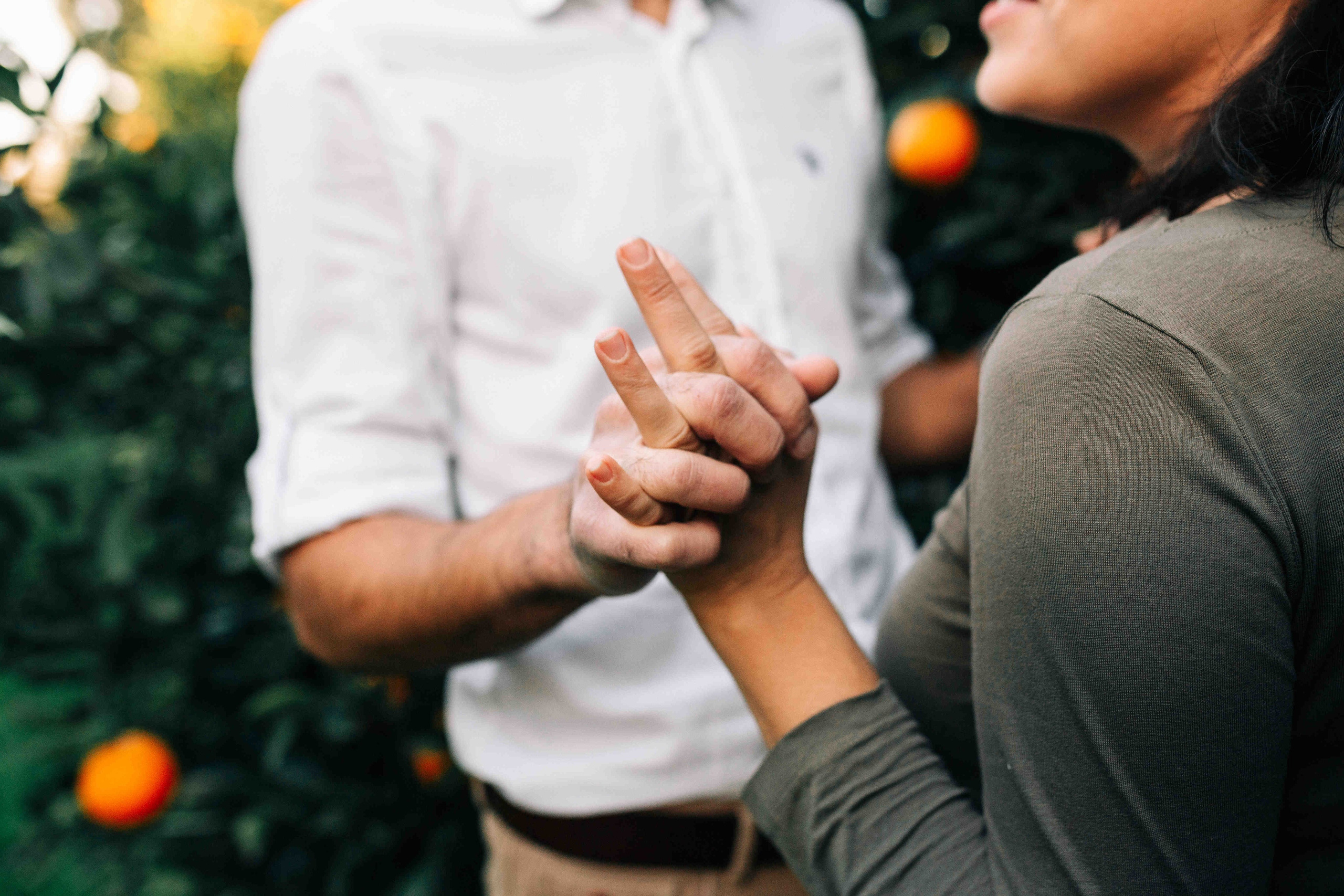 MANDARNINE GARDEN. Https://shi-photo.com/