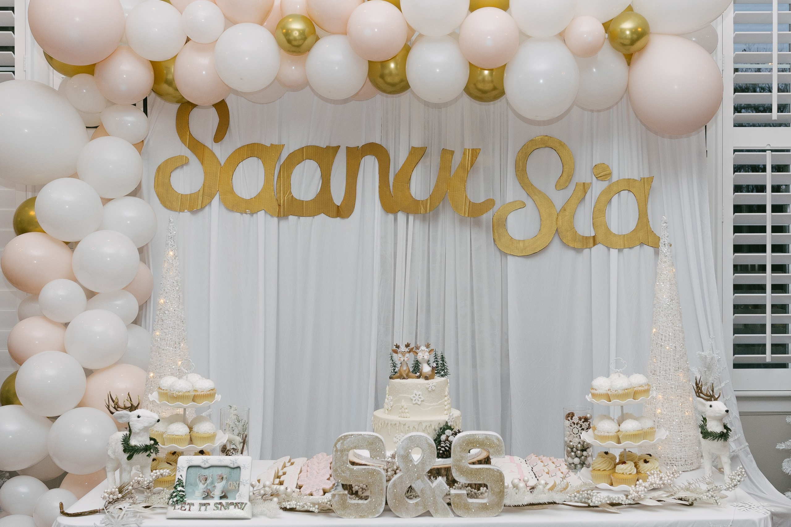 Twins Birthday. Sara Eulalia | Virginia Photographer