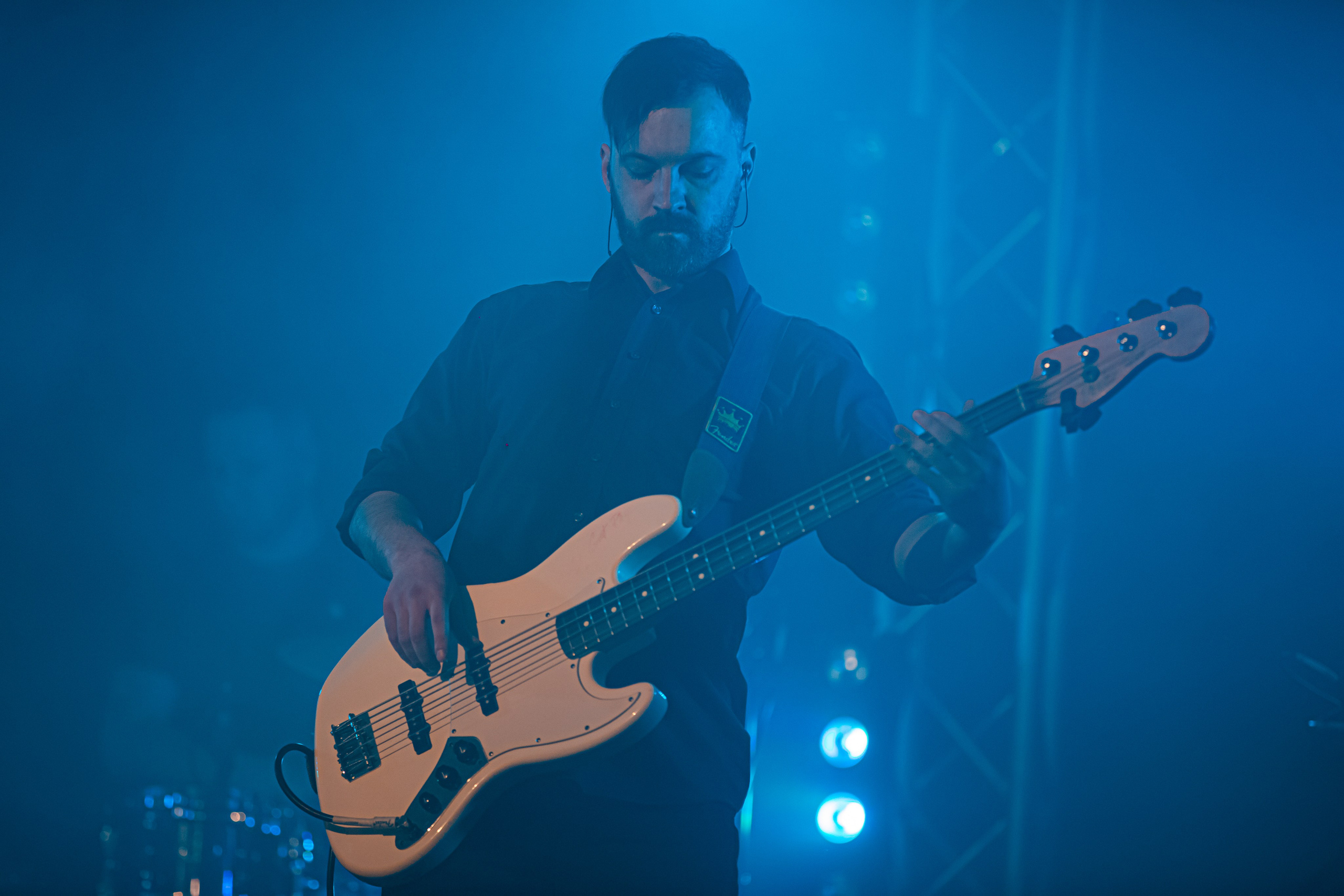 Ptashkin. Репортажний фотограф/анімаліст КИЇВ