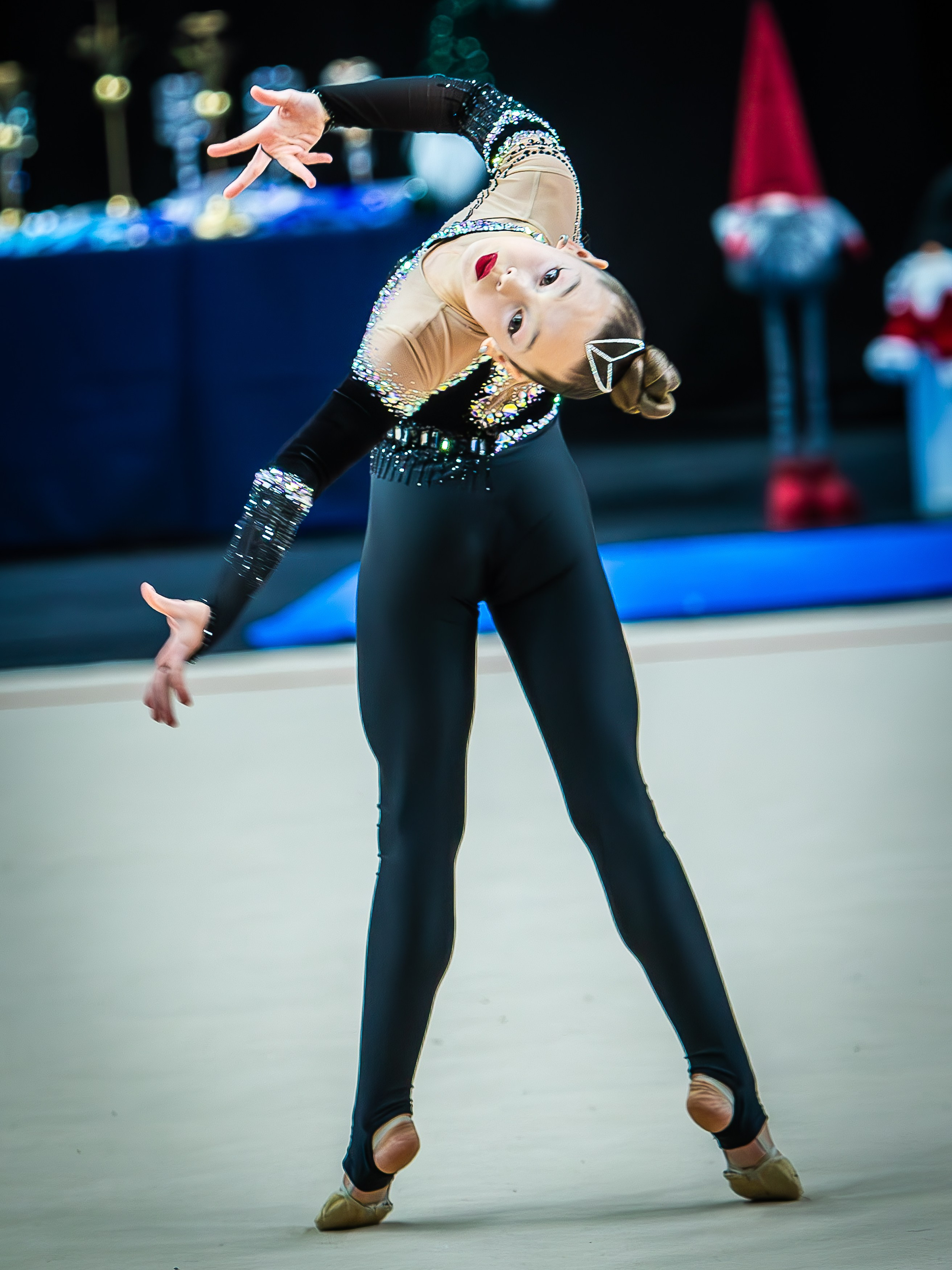 Галерея 1. Спортивная фотография, видео, трансляции