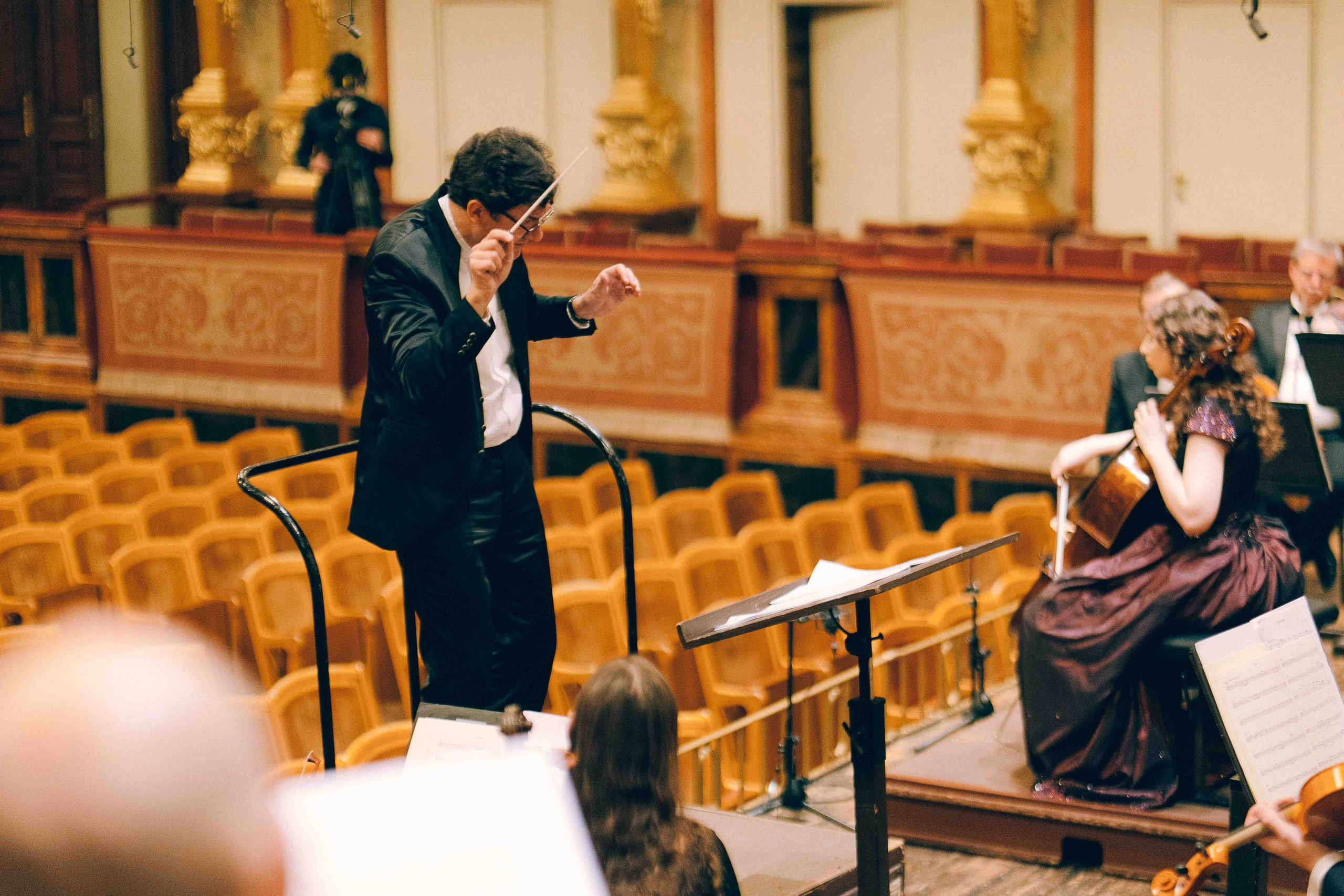 MUSIKVEREIN (VIENNA). Wedding&Event photographer Ismail Rzayev in Baku