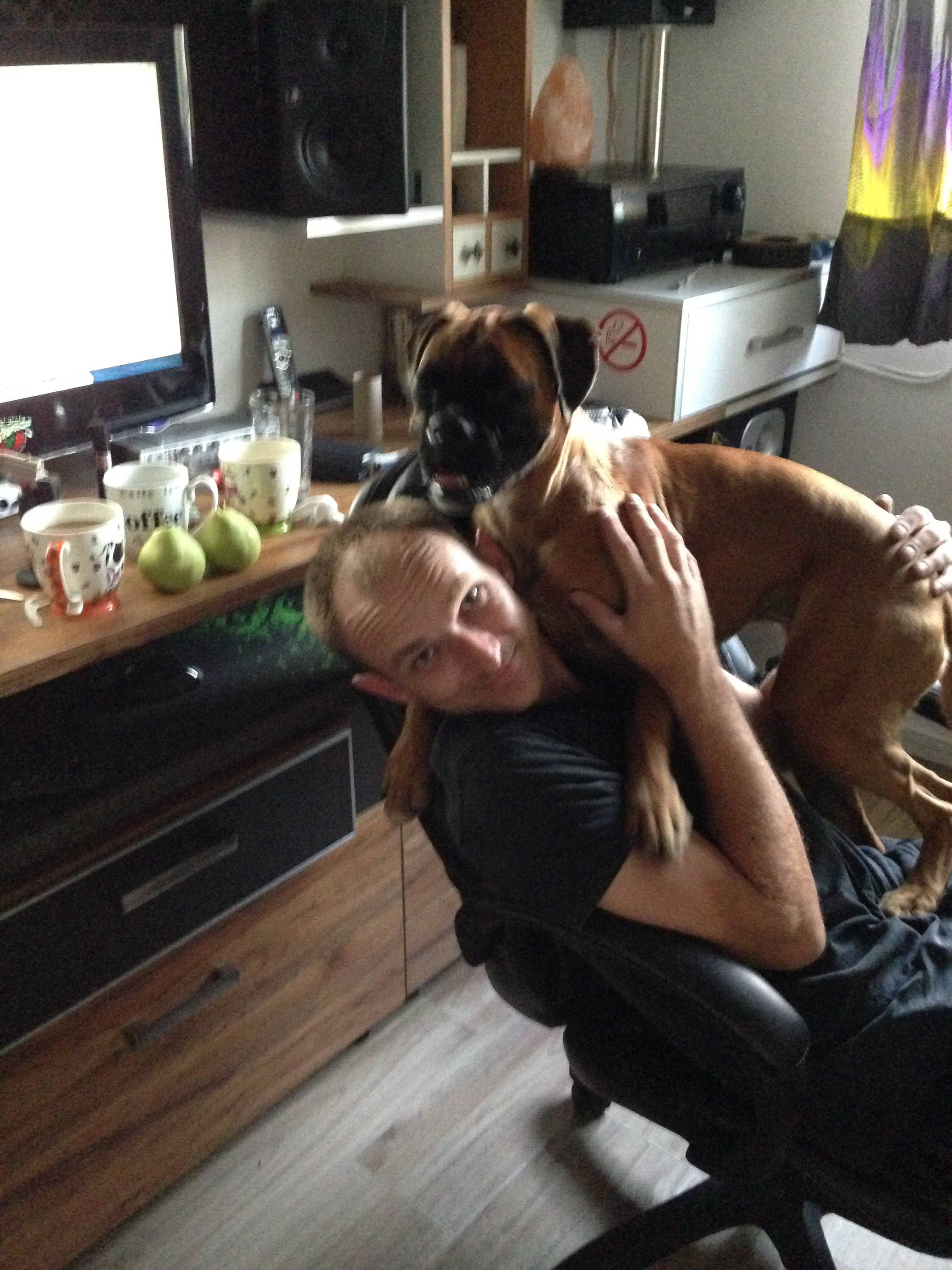 My ״Star״ Boxer Dog