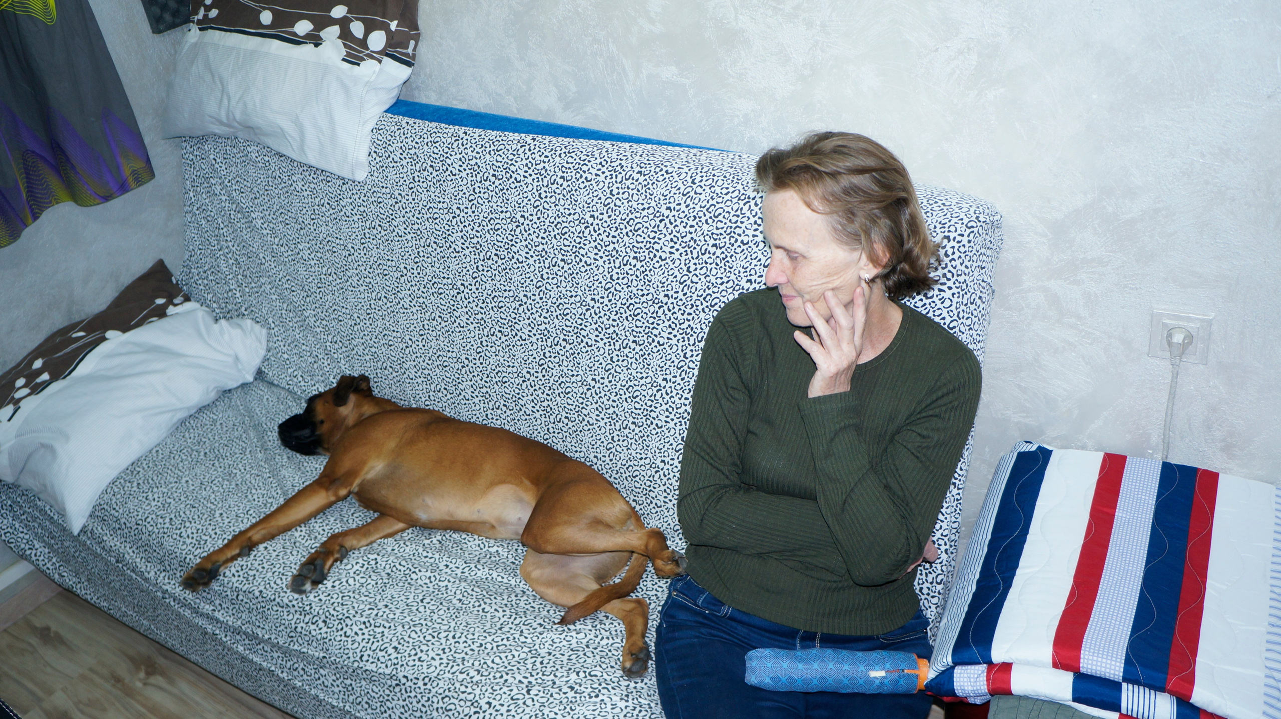 My ״Star״ Boxer Dog