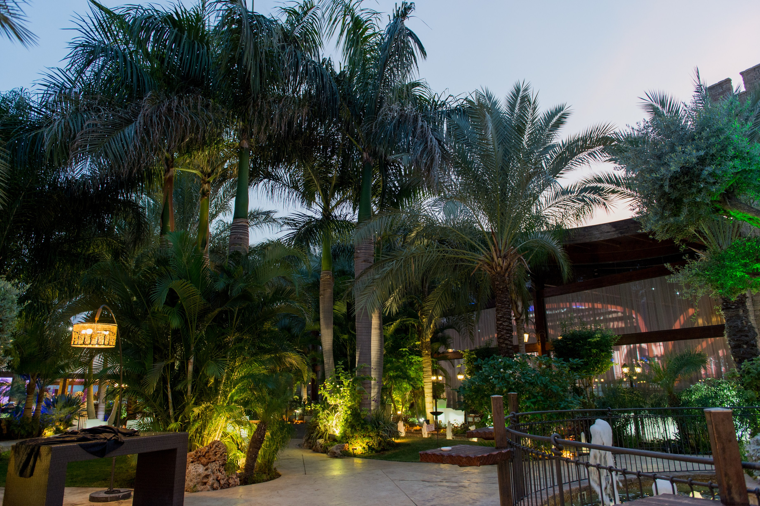 Stella & Elijahu. Wedding and events photographers Studio Shalom