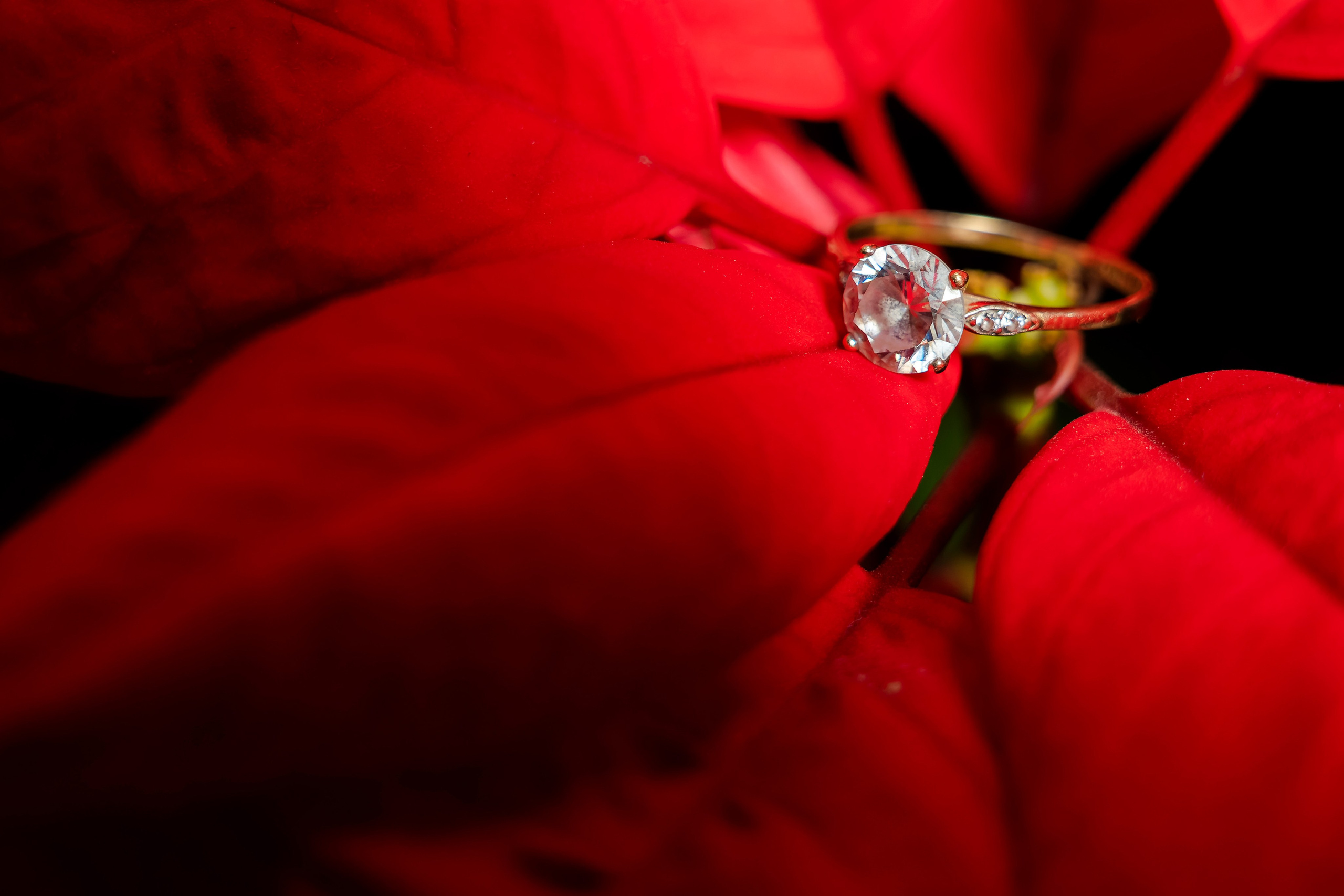 Fotos de boda. Emilianofilms