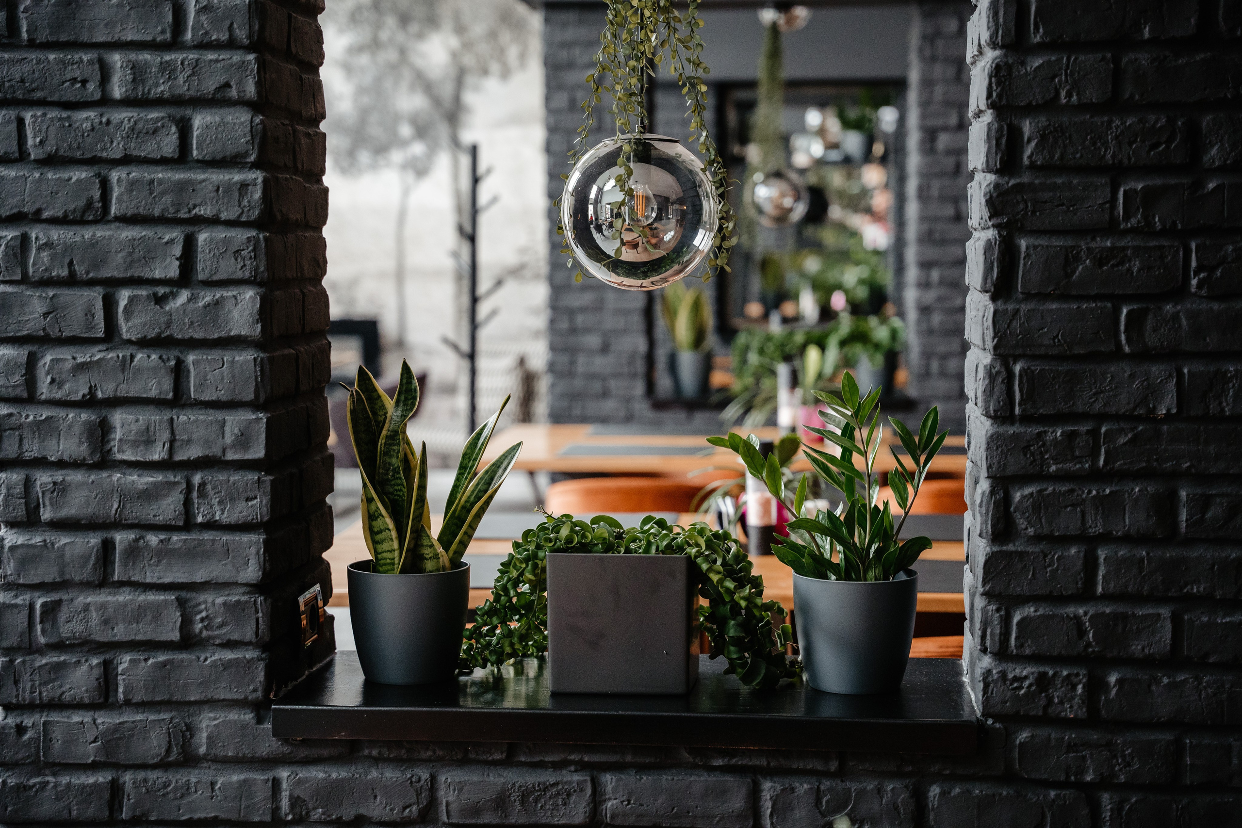 LEcrivain. Dragosbaciuartphotographer