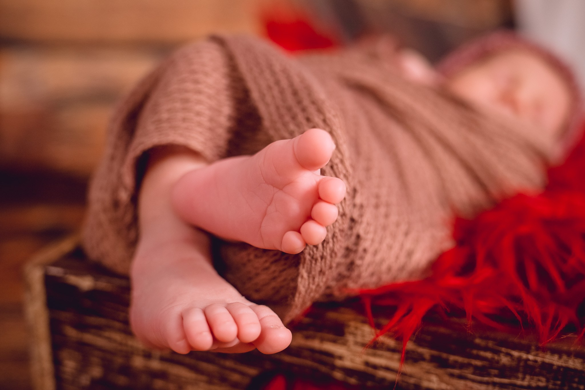 Sophia — 18/09/2022. Luiz Medeiros Produções