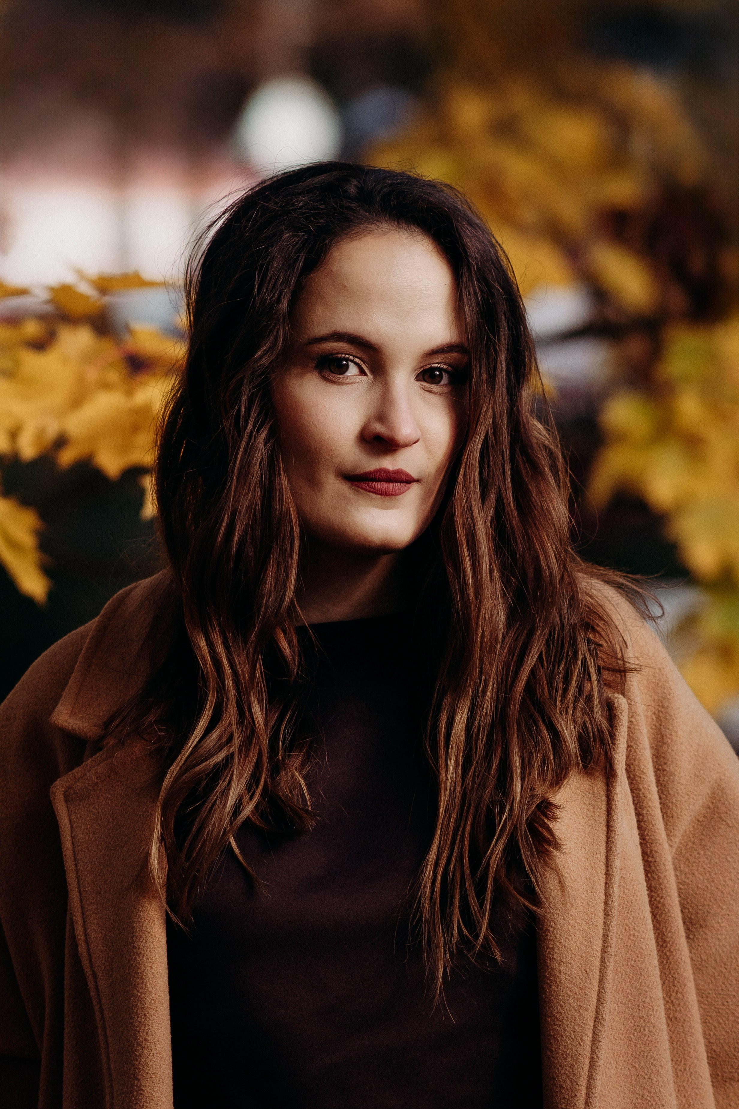 Liisa, Alexander & Marsel. Фотограф-анималист в Таллинне, Катя Лайсаар