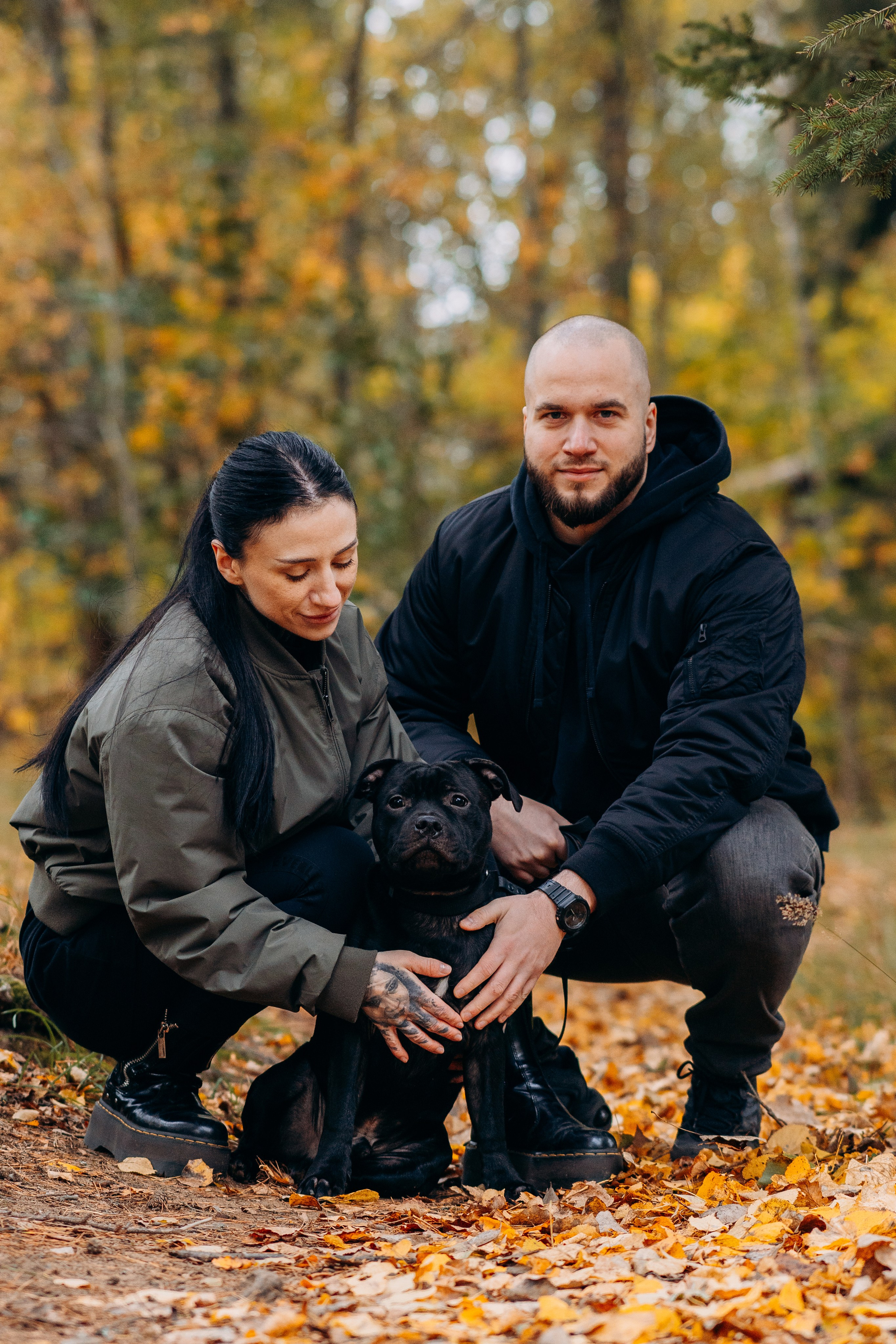 Staffordshire Bull Terriers Meetup. Kat Laisaar — Pet photographer in Tallinn