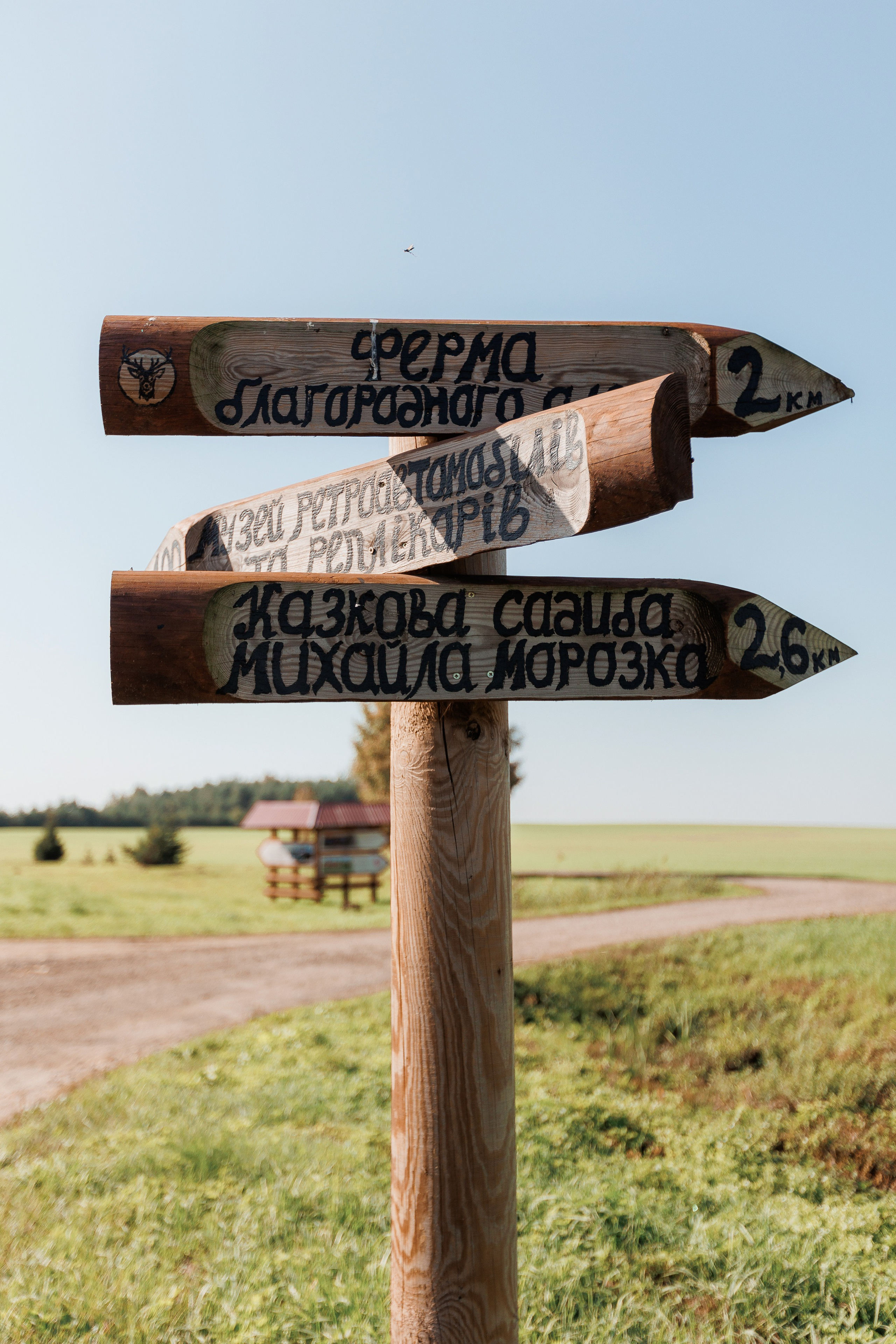 Екопарк Аміла. Ірина Терещук