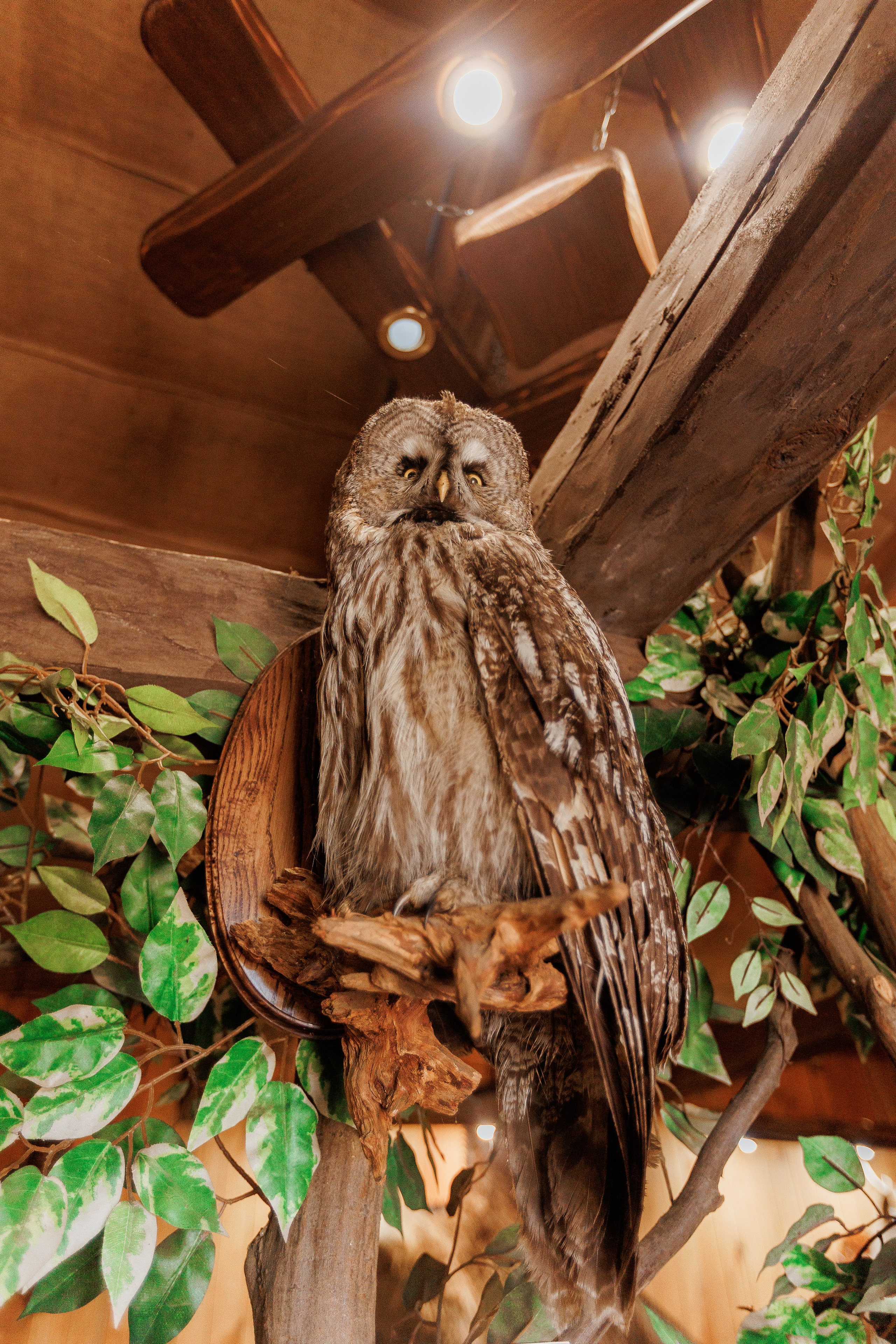 Екопарк Аміла. Ірина Терещук