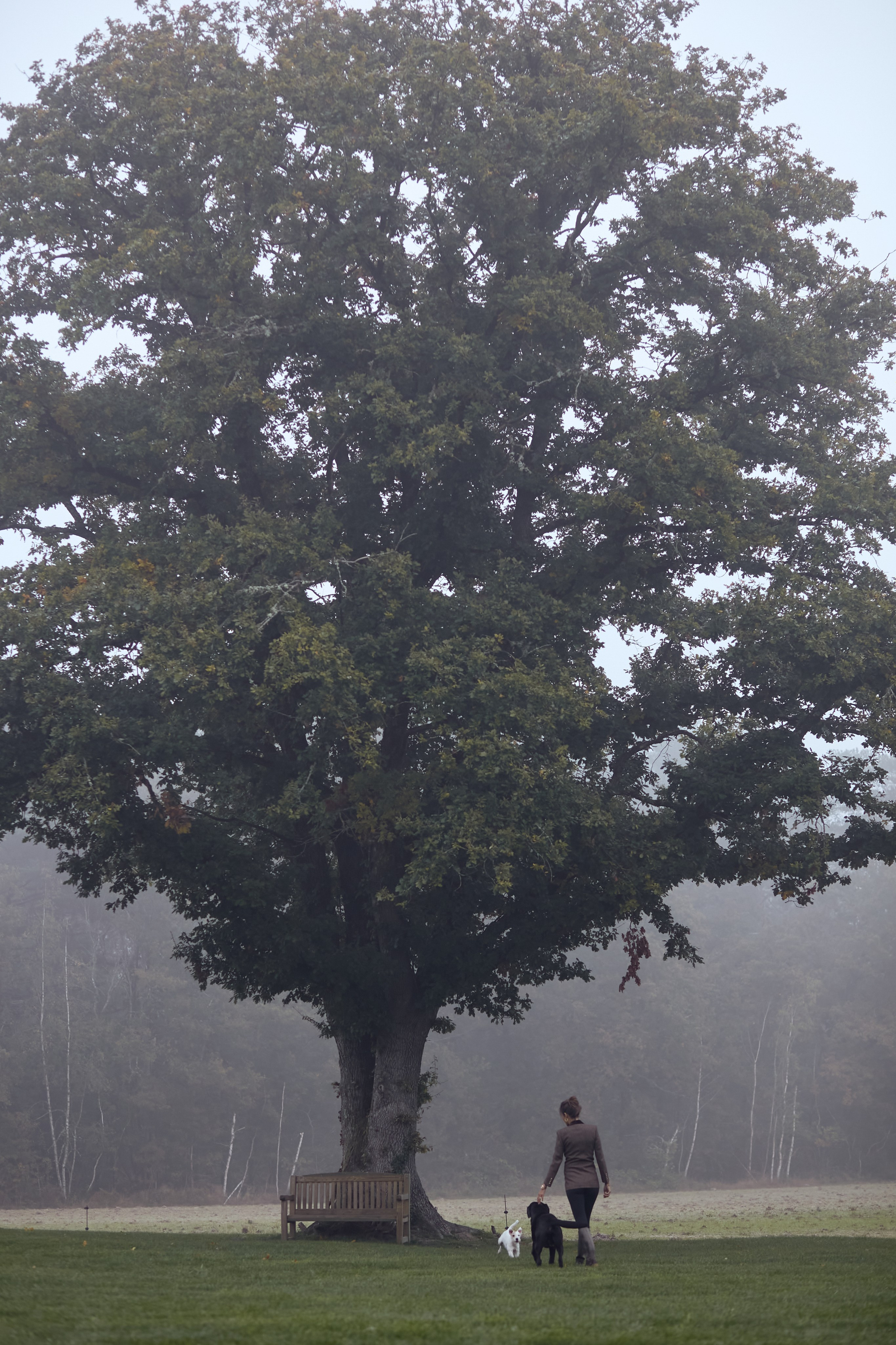 French story. Amazing photo session at a time convenient for you. Y