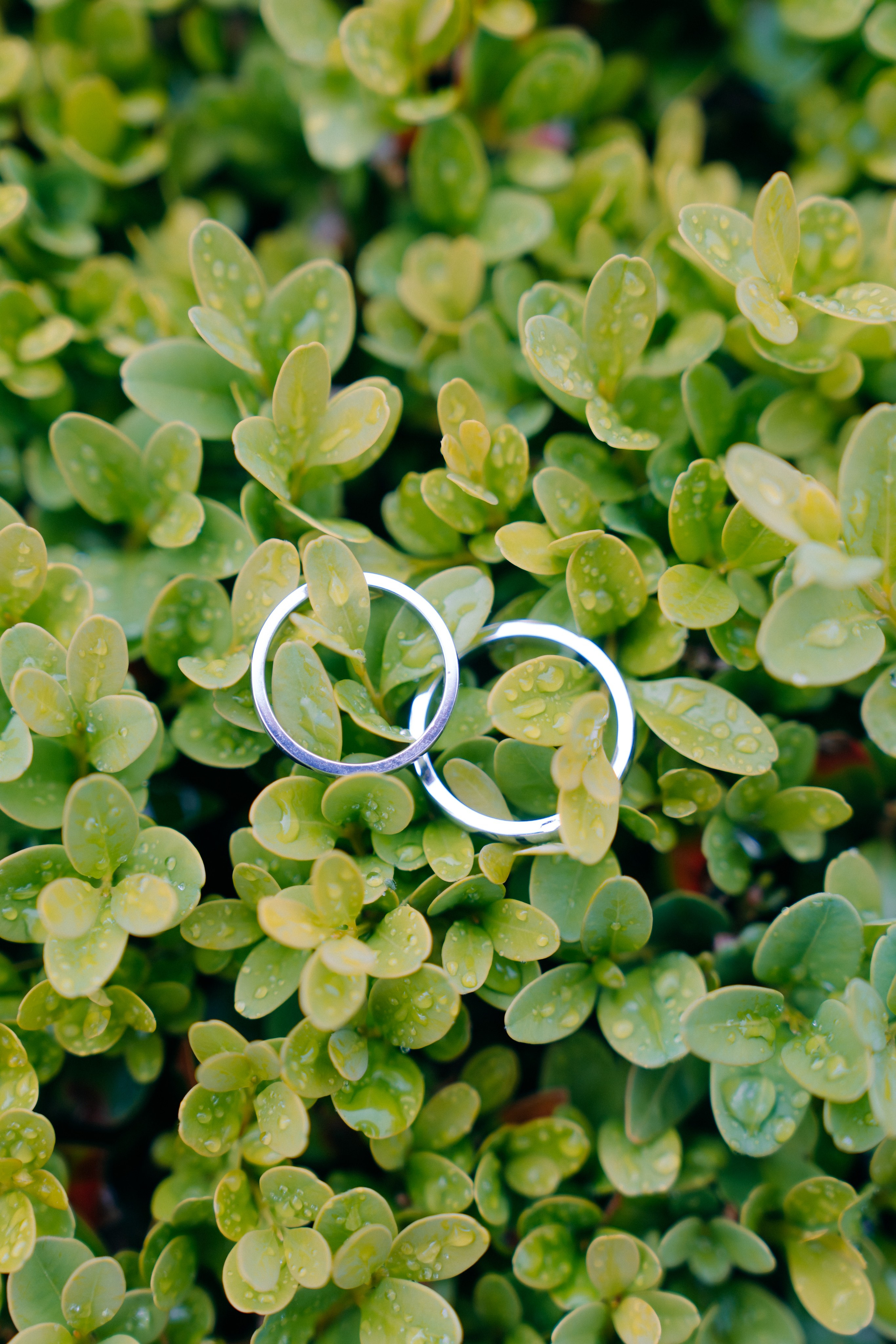 Brianna & Micha. Контент-фотограф Алина Филимонова