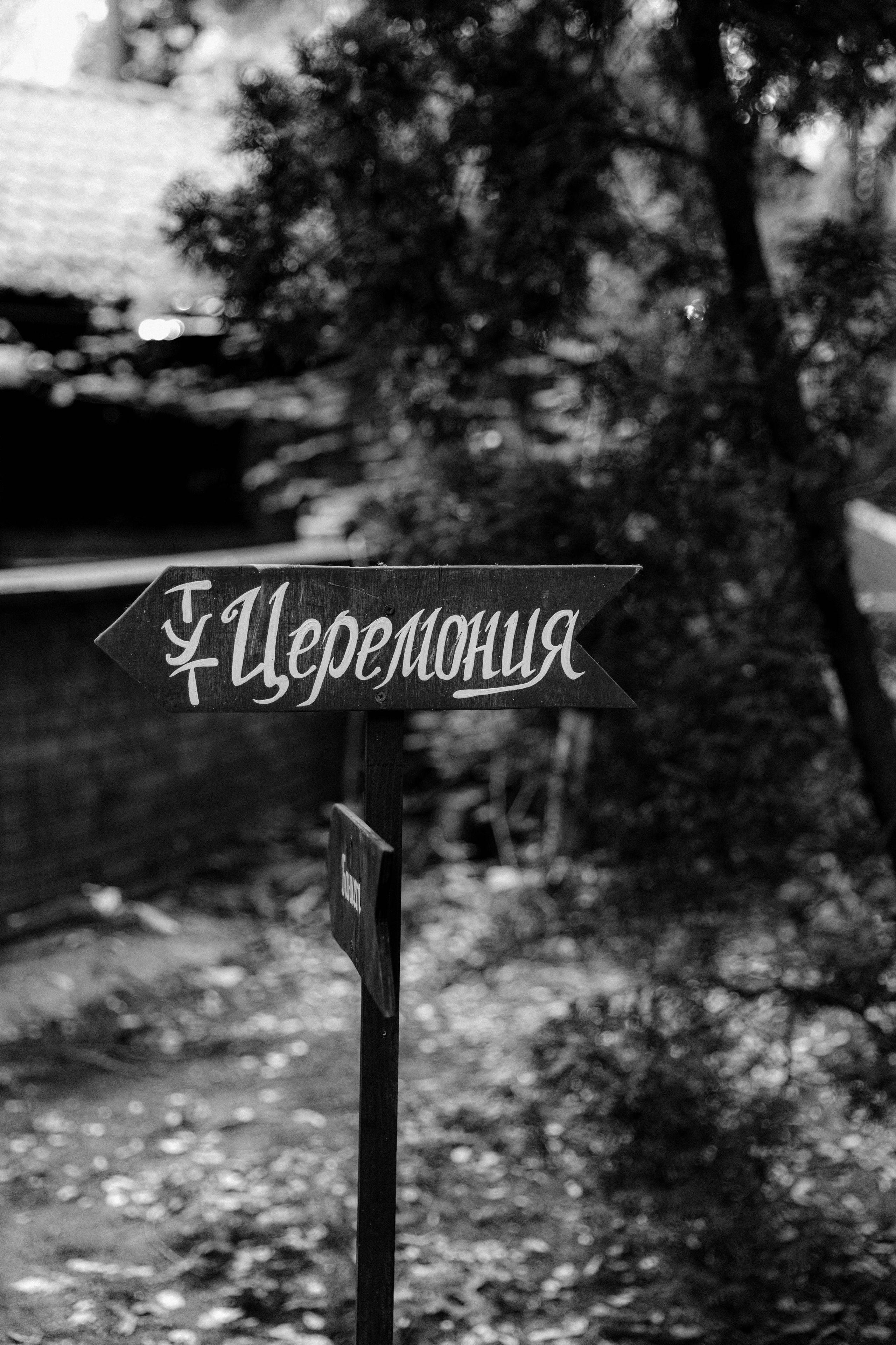 Валерия и Александр. Полный день свадьбы. Wedding and family photographer Moscow Riyadh