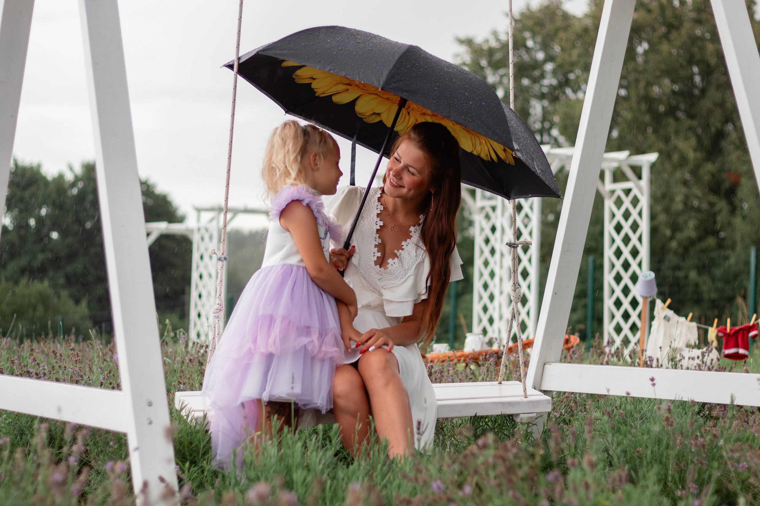 Лавандовое поле