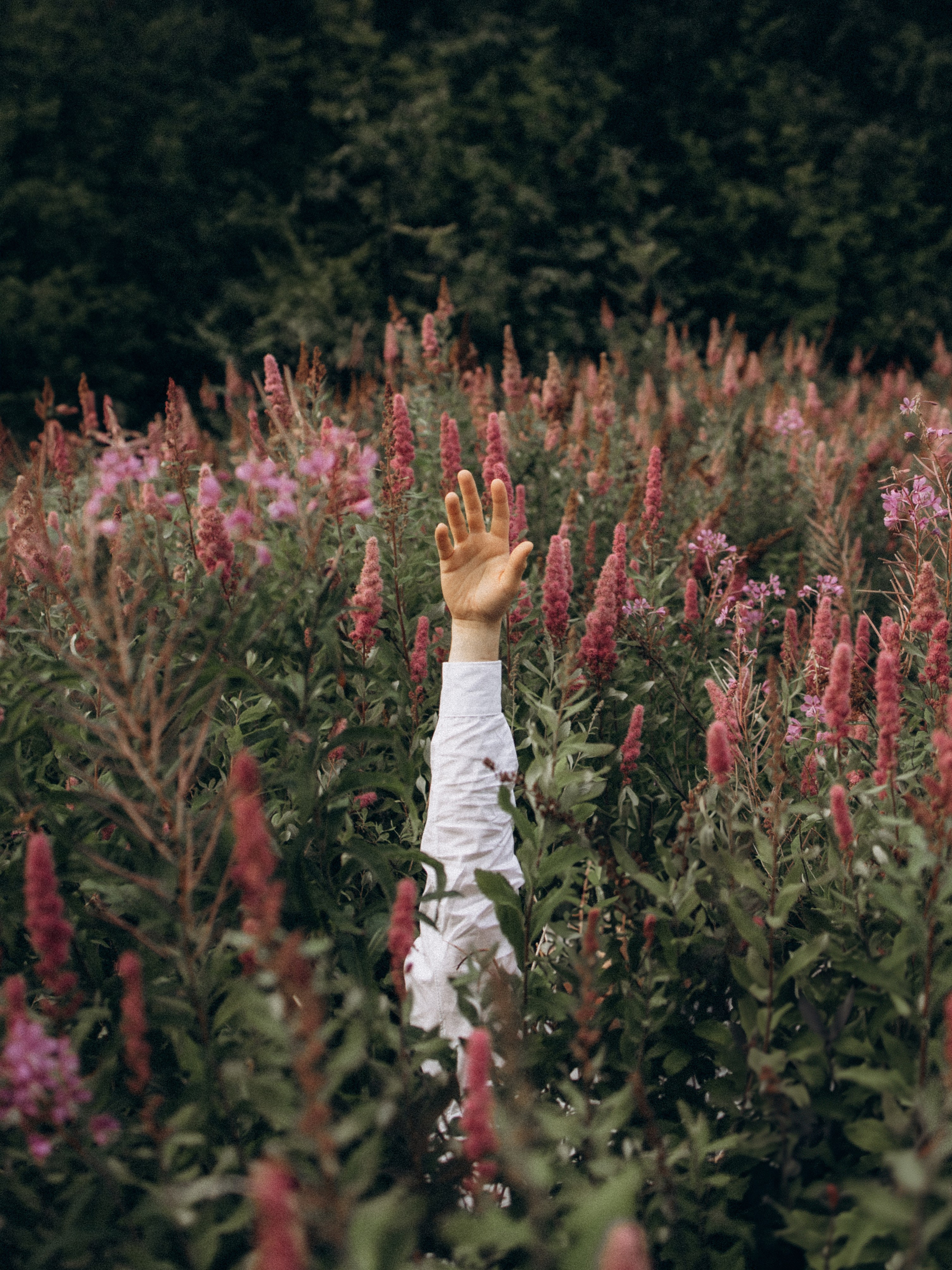 Petr. Kristina, portrait and family photographer in Helsinki