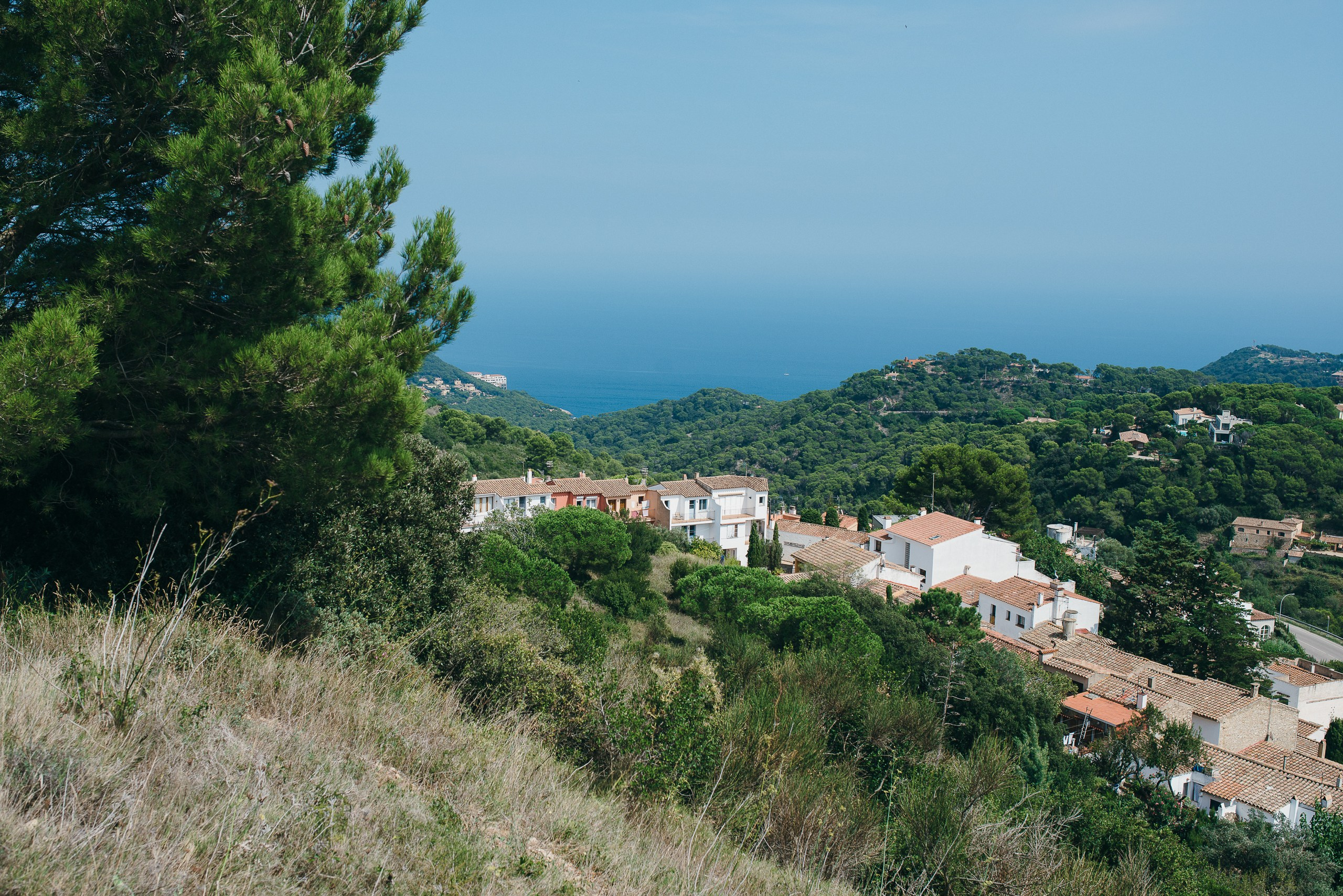 Boda de Aleksandr&Julia en Mas Falet 1682. Fotógrafo profesional Bilbao