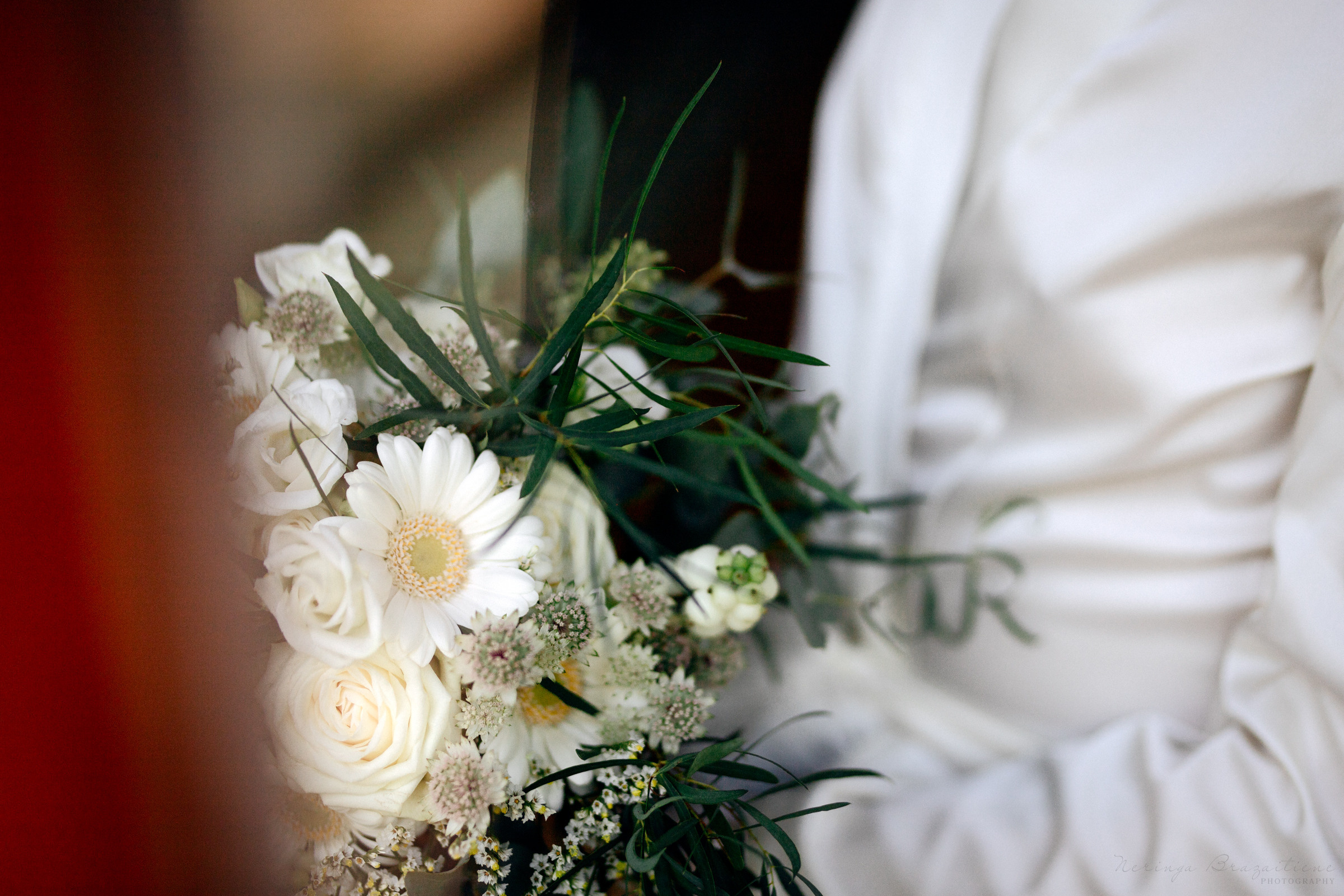 Fotosesija Molėtų observatorijoje