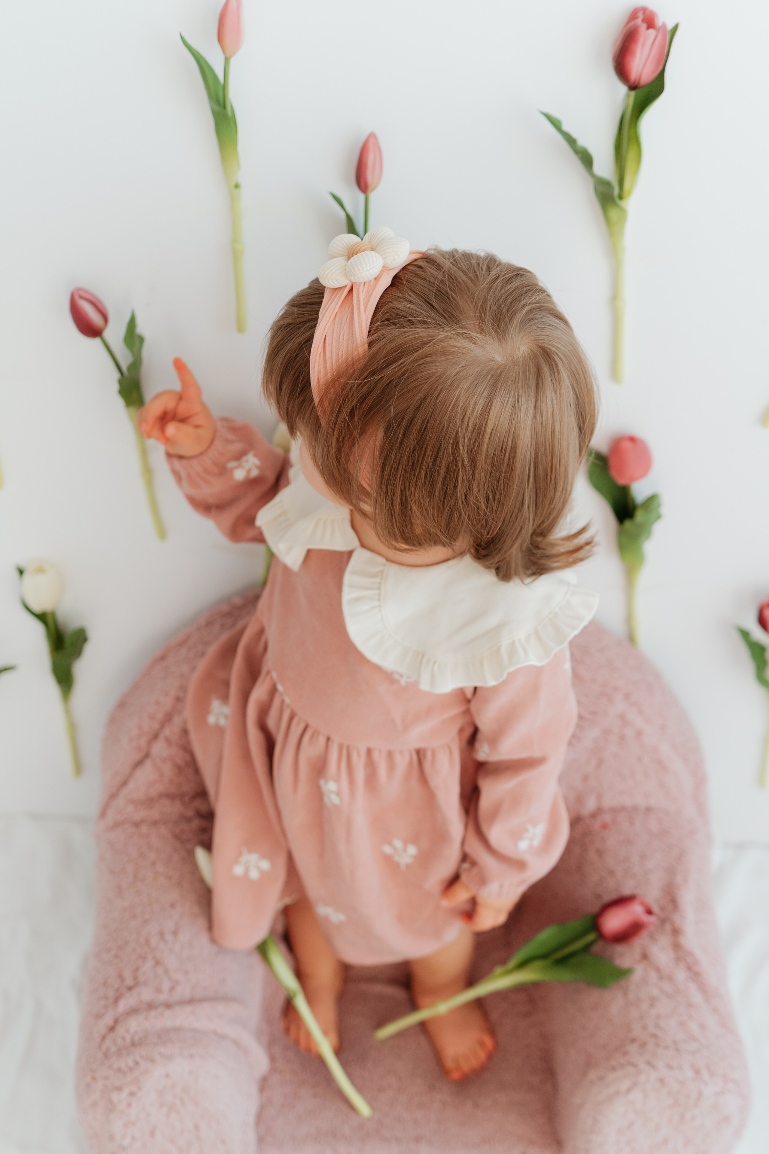 SPRING SESSION. Ars Vidi | Digital Solutions