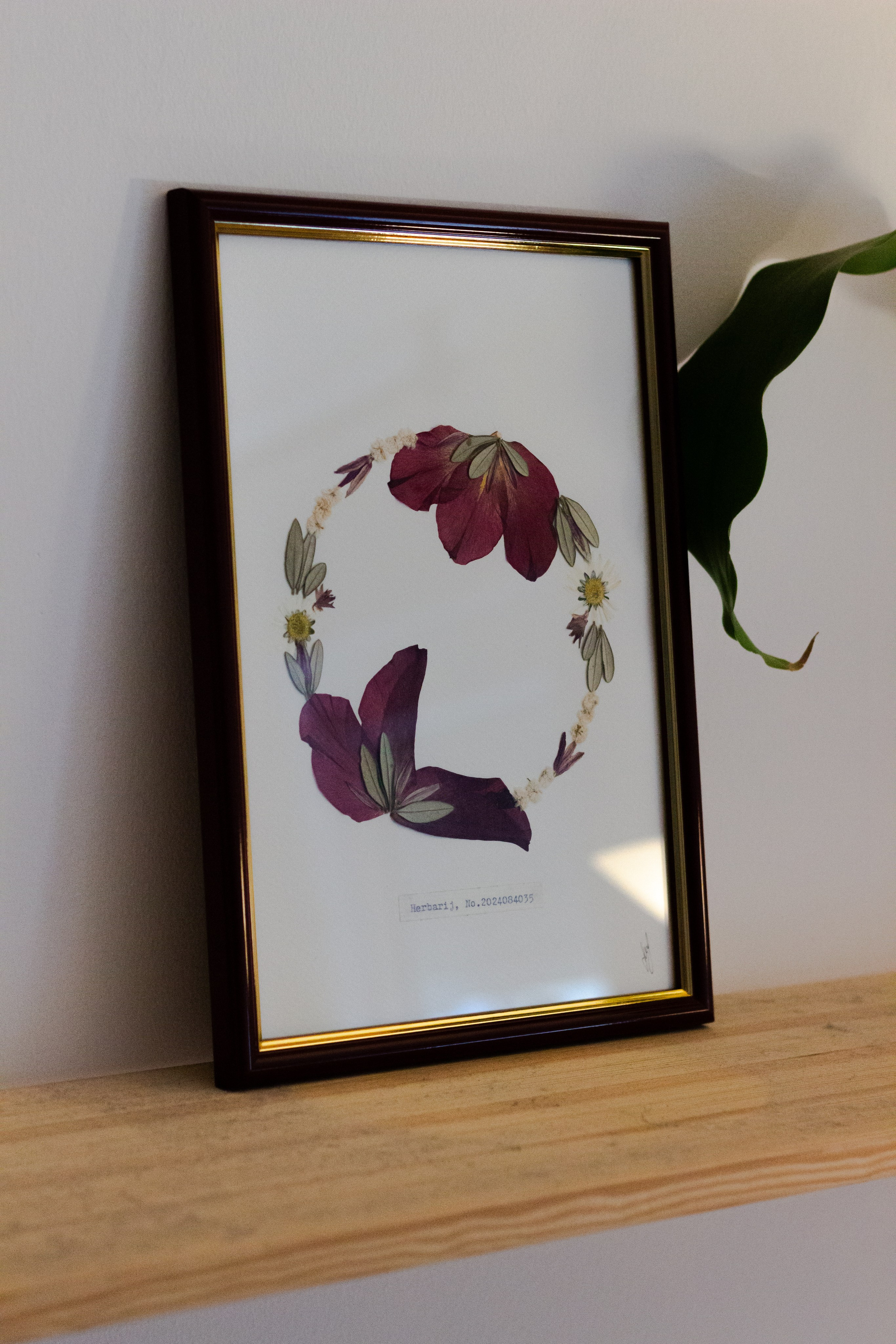 Portfolio. Herbarij studio