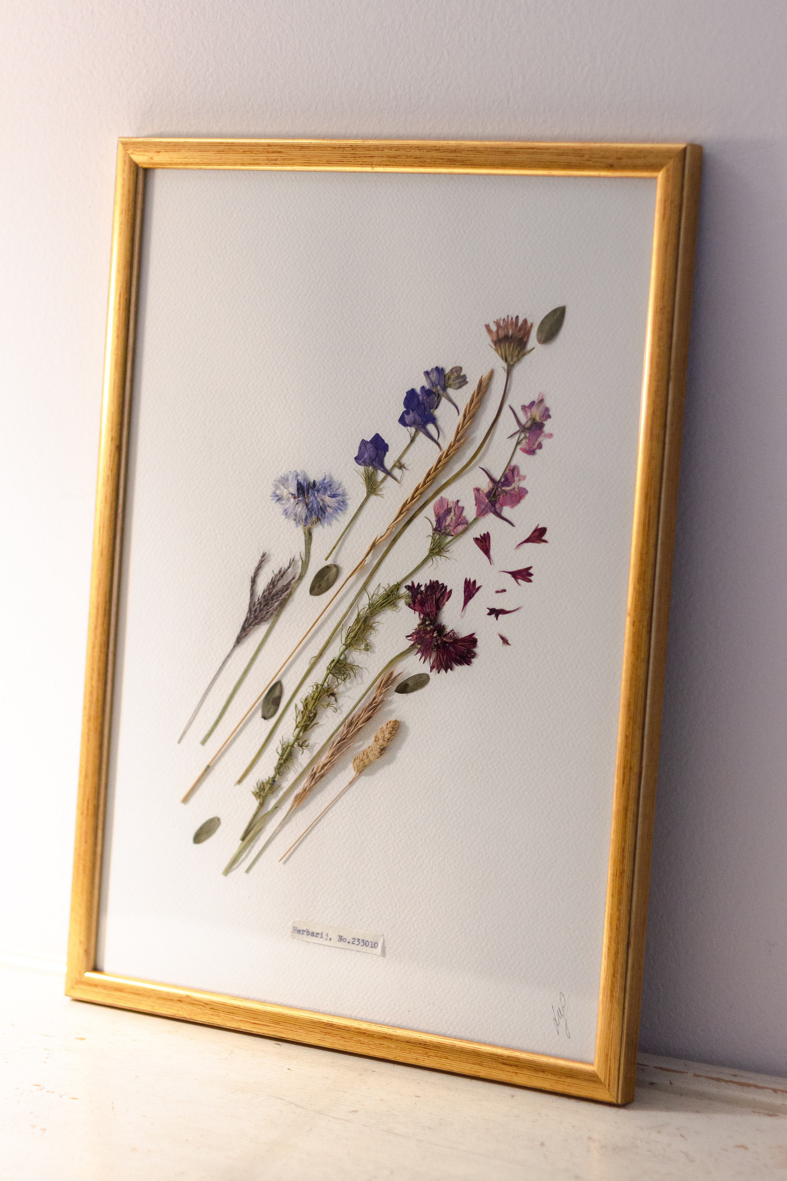 Herbarij, presa, okvir, slika, ručni rad, herbarium, art, umjetnost, home made, artistic