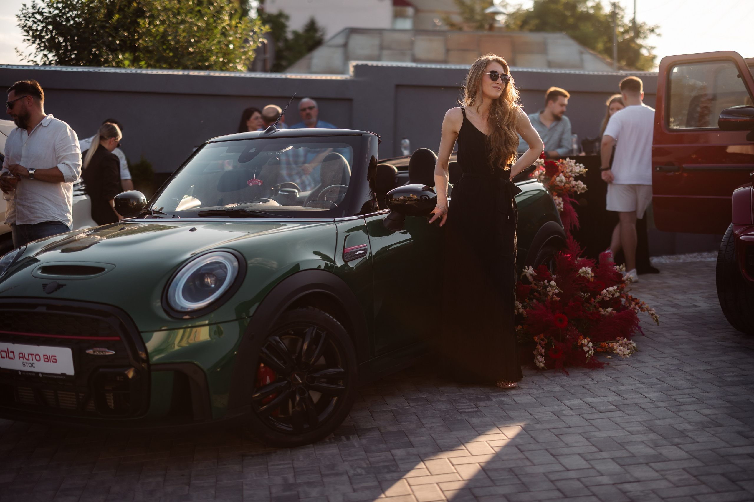 Auto Big. Marius Ciocan