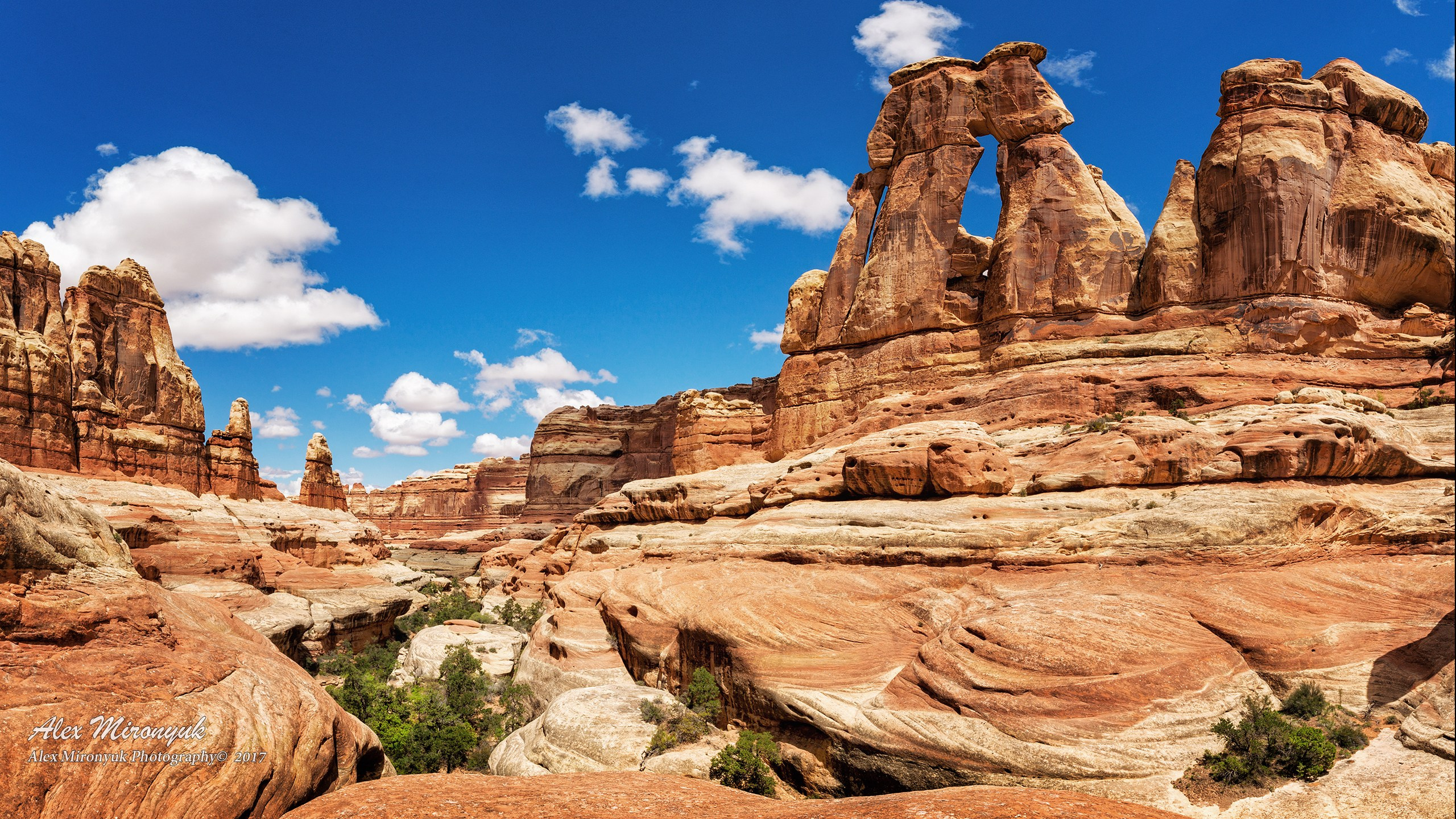 New Year In Utah. Pet, Senior, Landscape, portrait studio, photographer in Miami and Sou