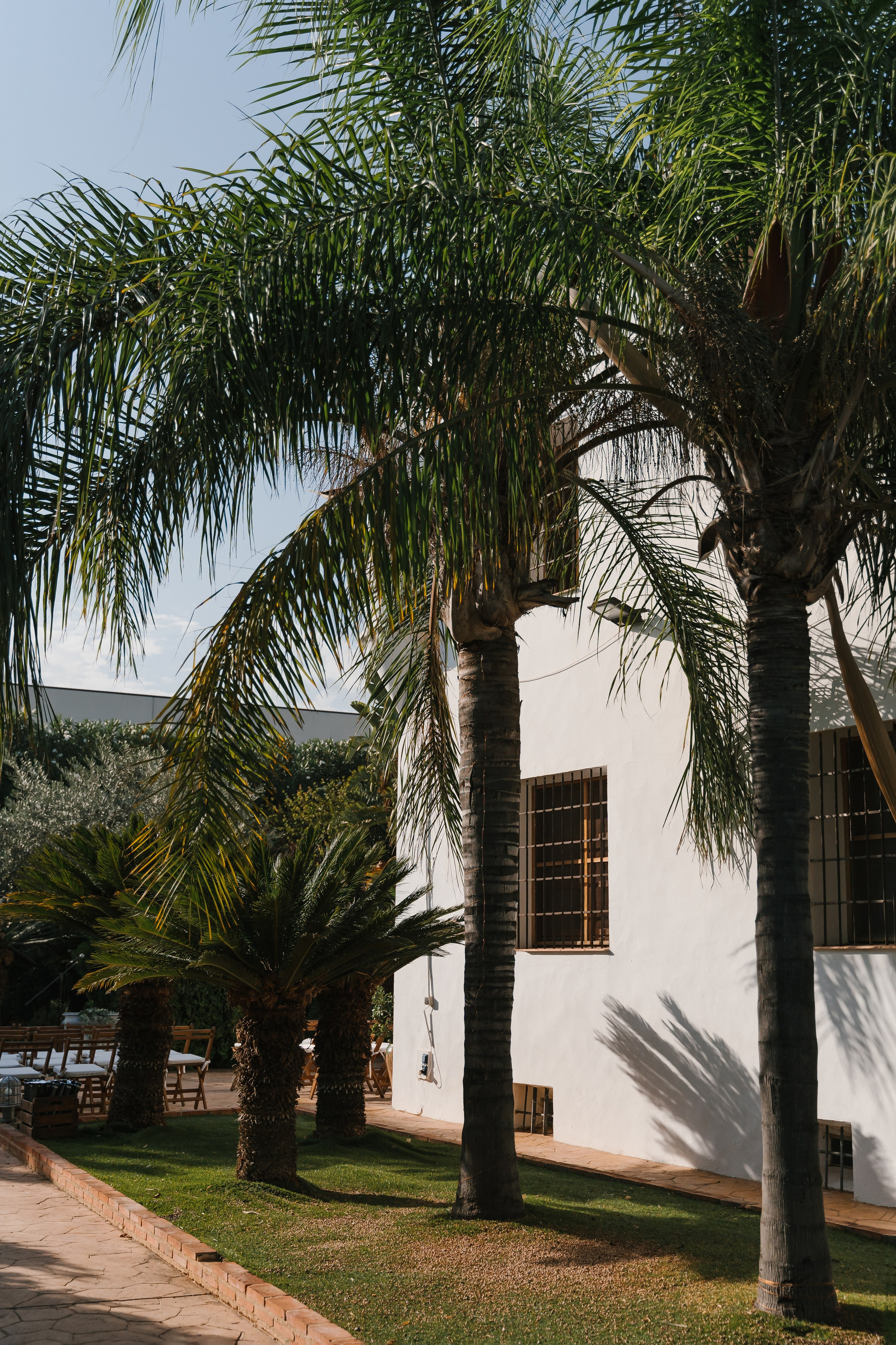M & A. Fotógrafa de bodas y familias en España, Valencia: Nadia ProFoto