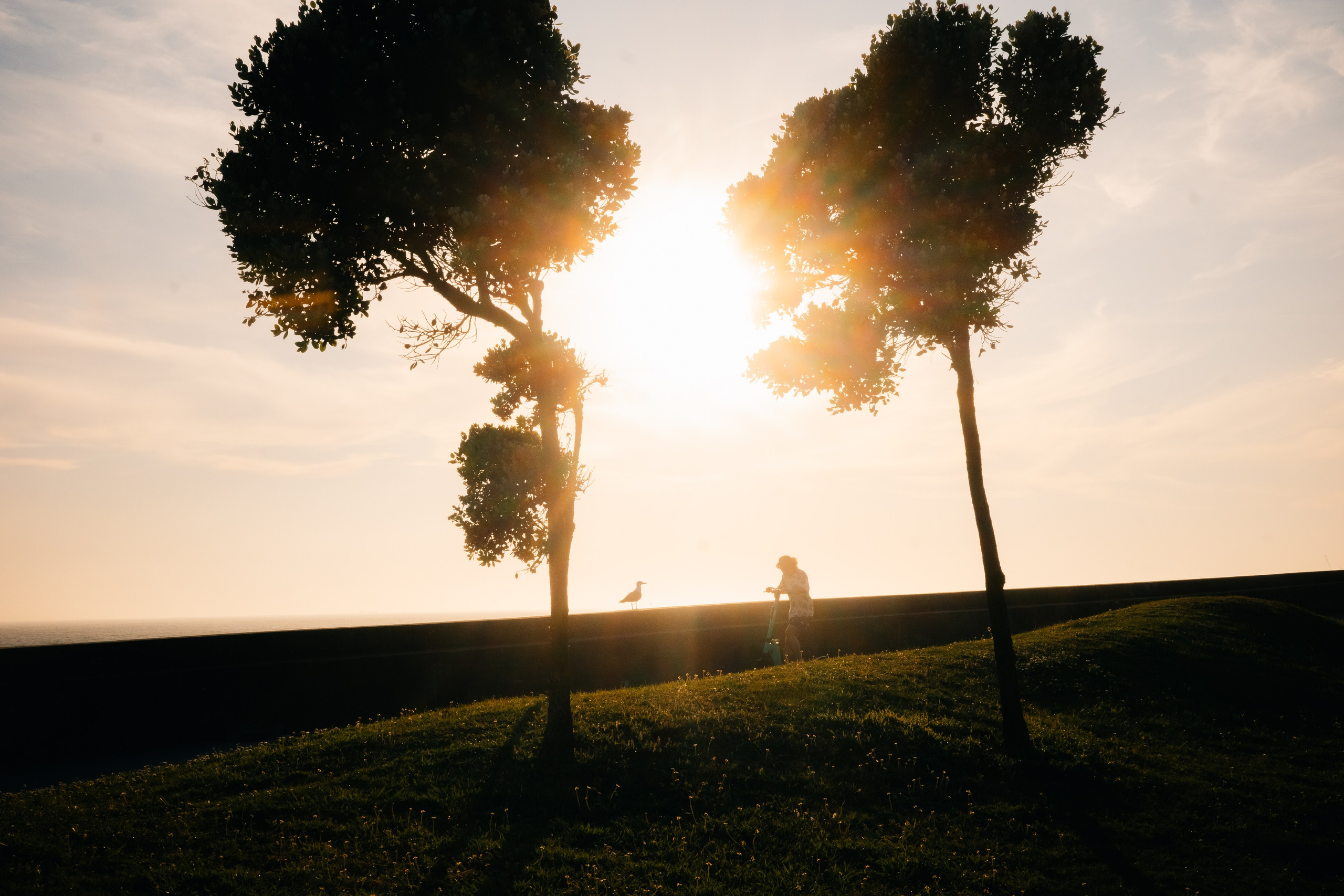 Street. Maria Sher. Professional photographer from Porto, Portugal