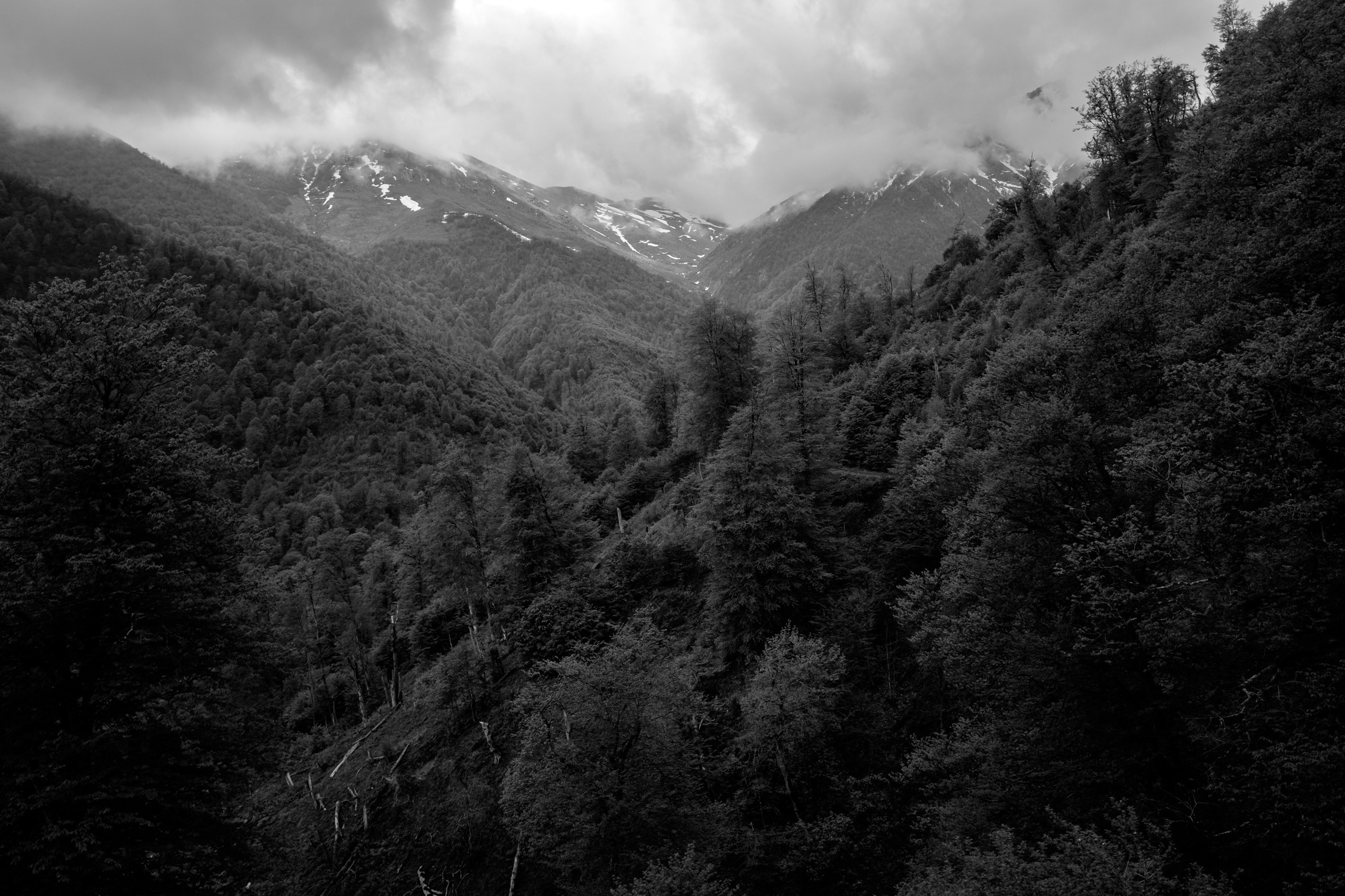 “Mob.” (Military mobilization), 2016. Areg Balayan — Photographer/Visual Artist