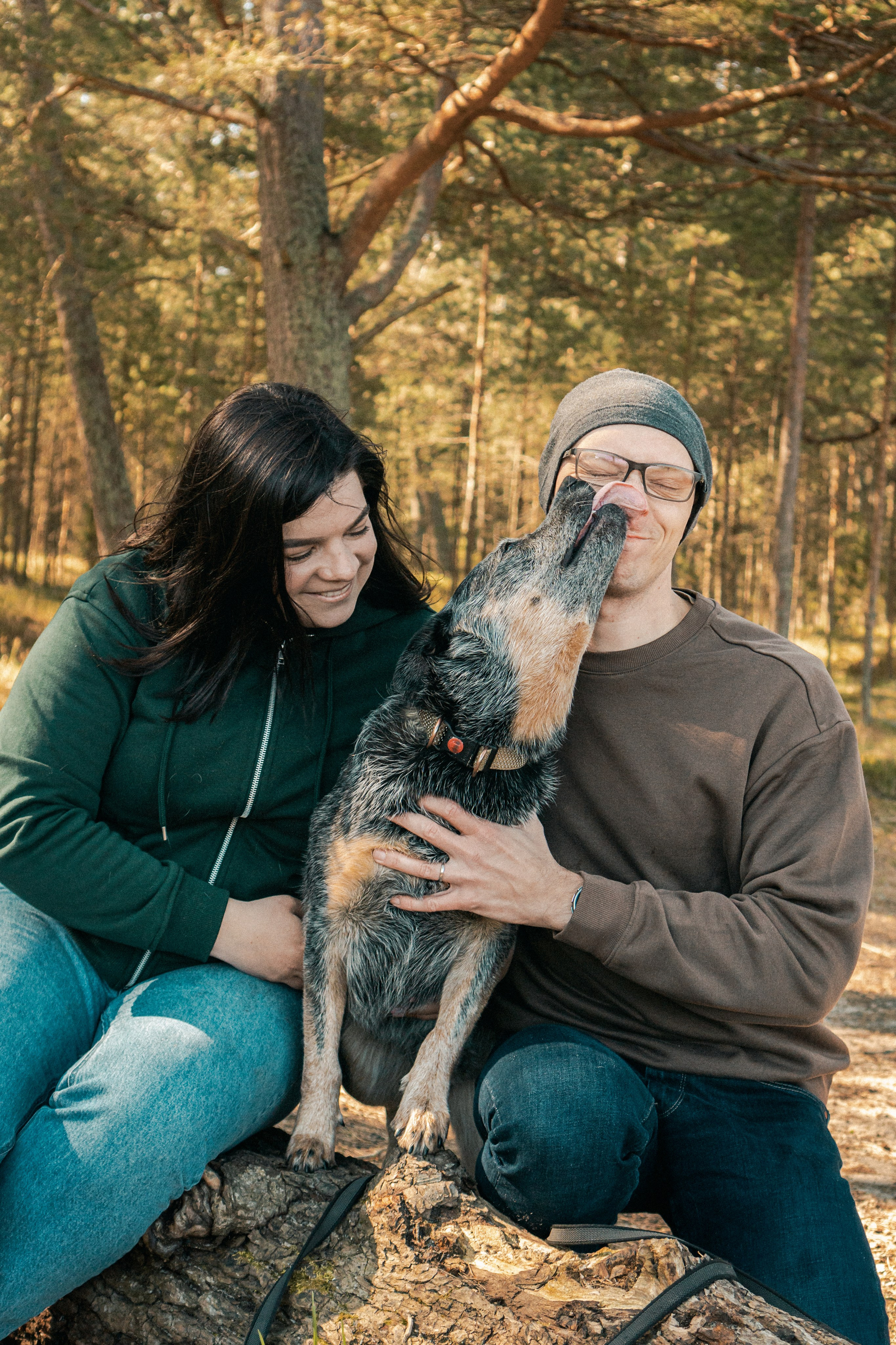 Oskar, Maria & Dmitrii. Kat Laisaar — Pet photographer in Tallinn