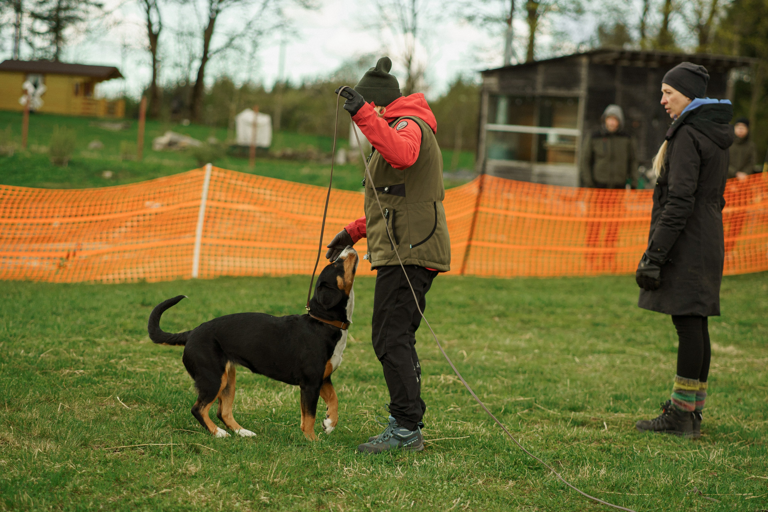 Herding Days, 26 apr. 2025. Kat Laisaar — Pet photographer in Tallinn
