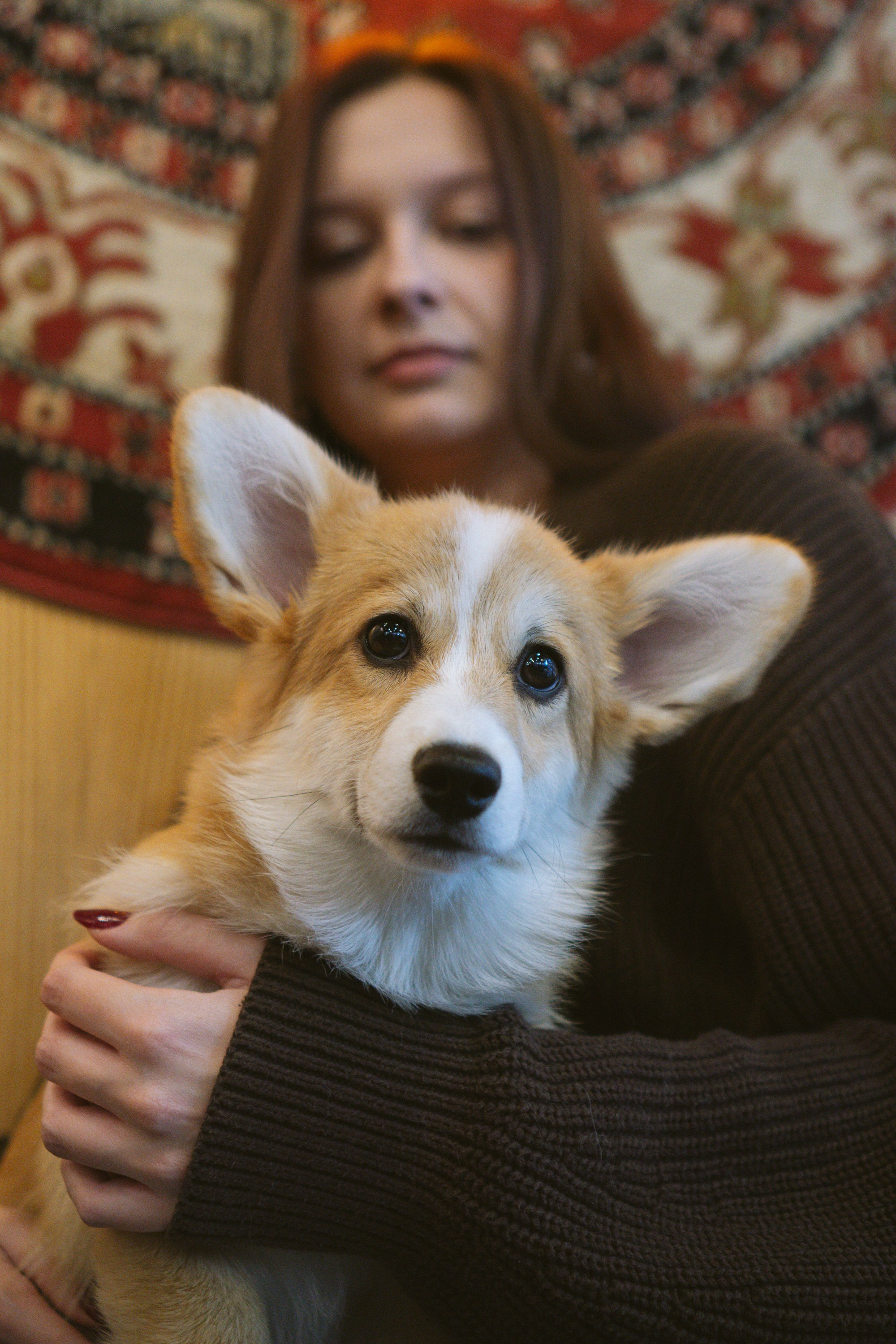 Anastasia and her Ada, Pembroke Welsh Corgi. Kat Laisaar — Pet photographer in Tallinn