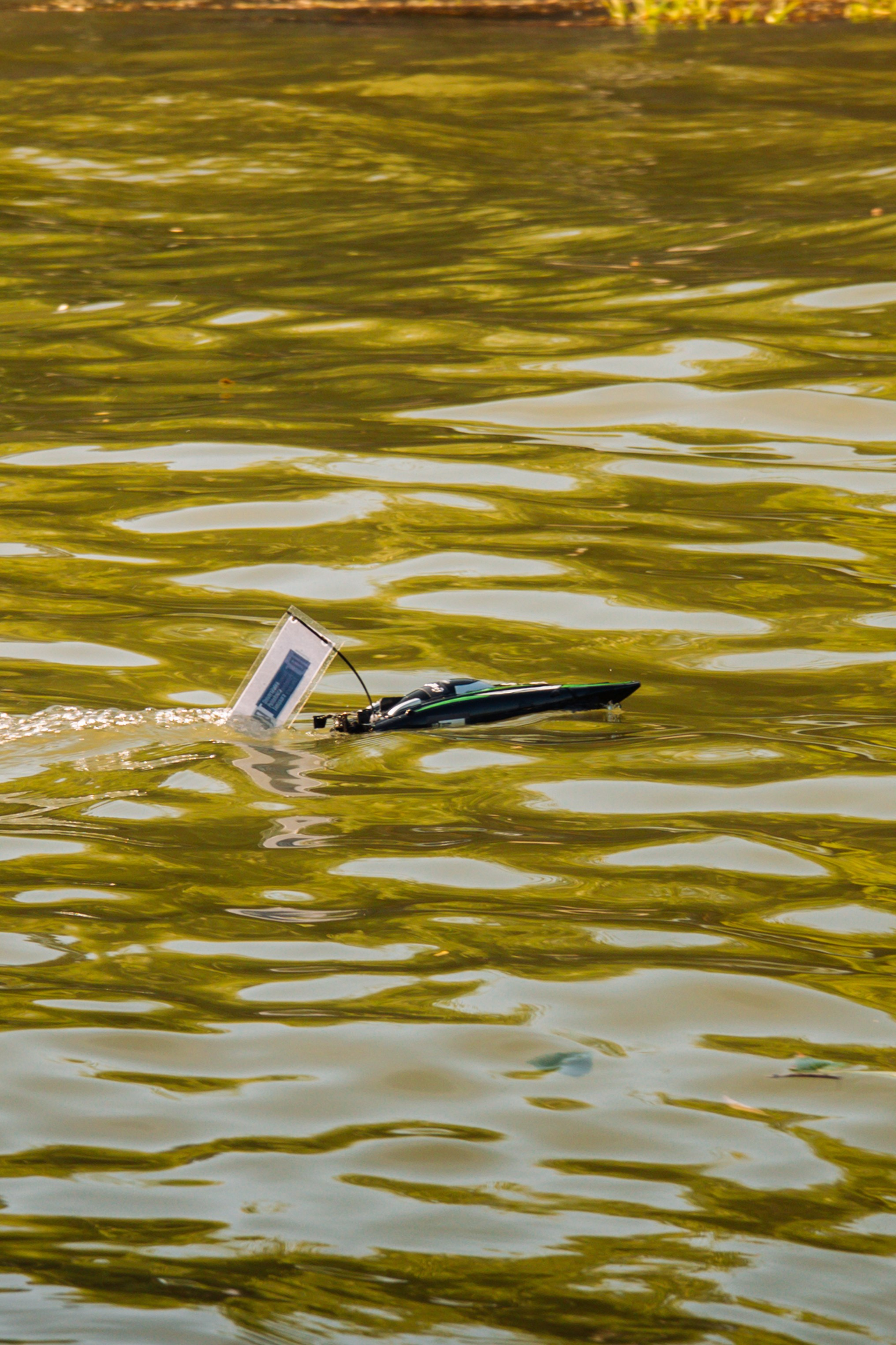 06.04 Bega Boat Race. Cozac Cristian Photographer