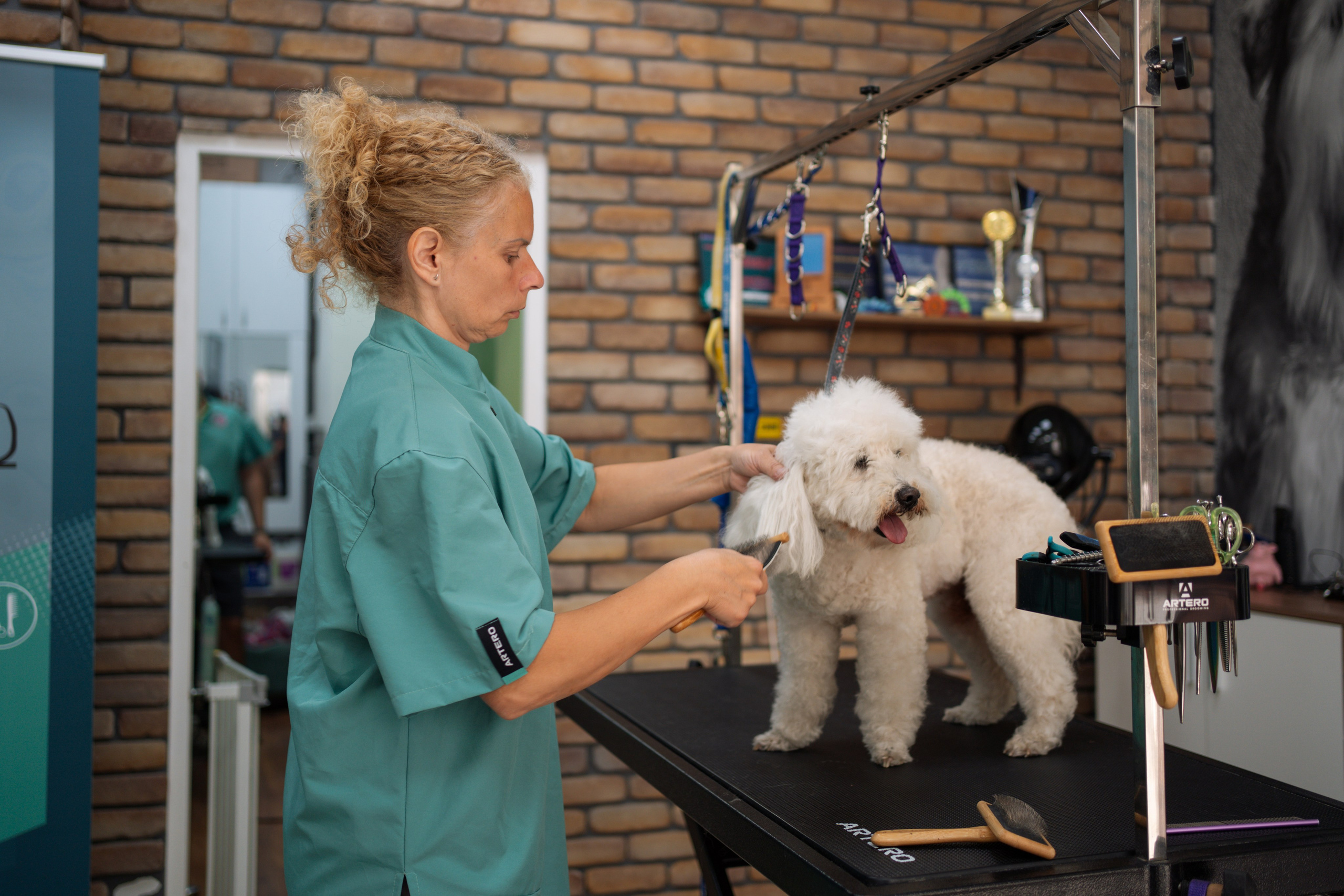 PetGroom Timisoara. Cozac Cristian Photographer