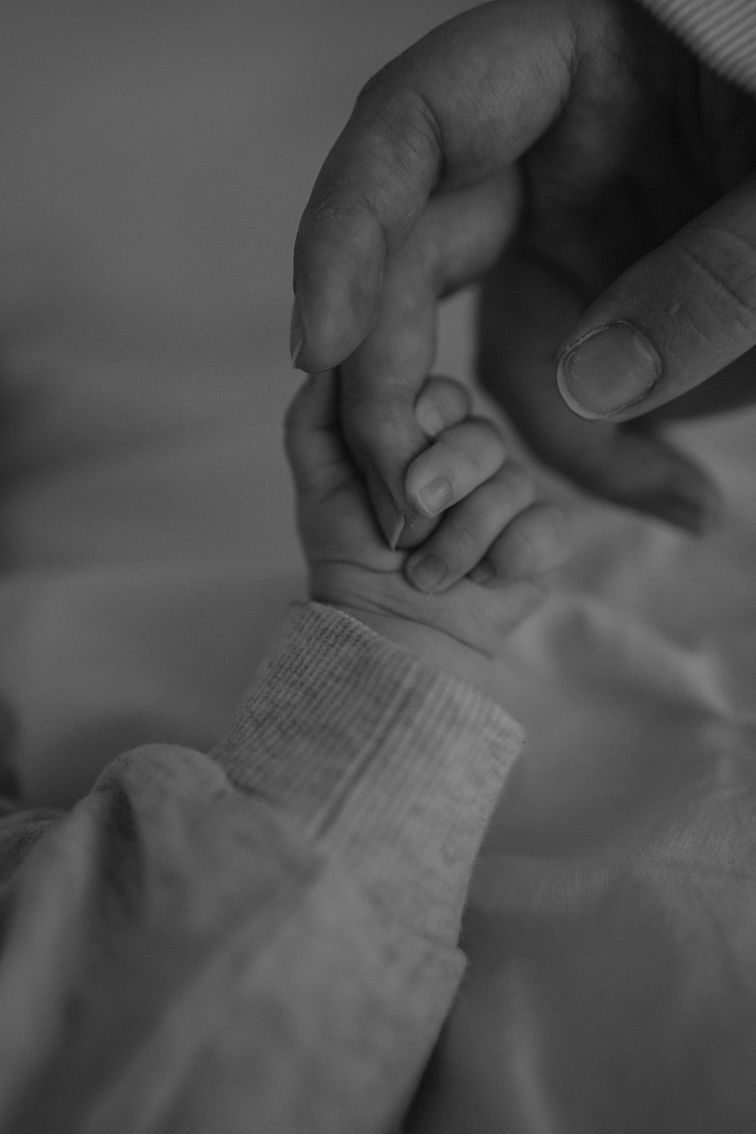 Семейная с младенцем. Фотограф Москва Ларина Юлия