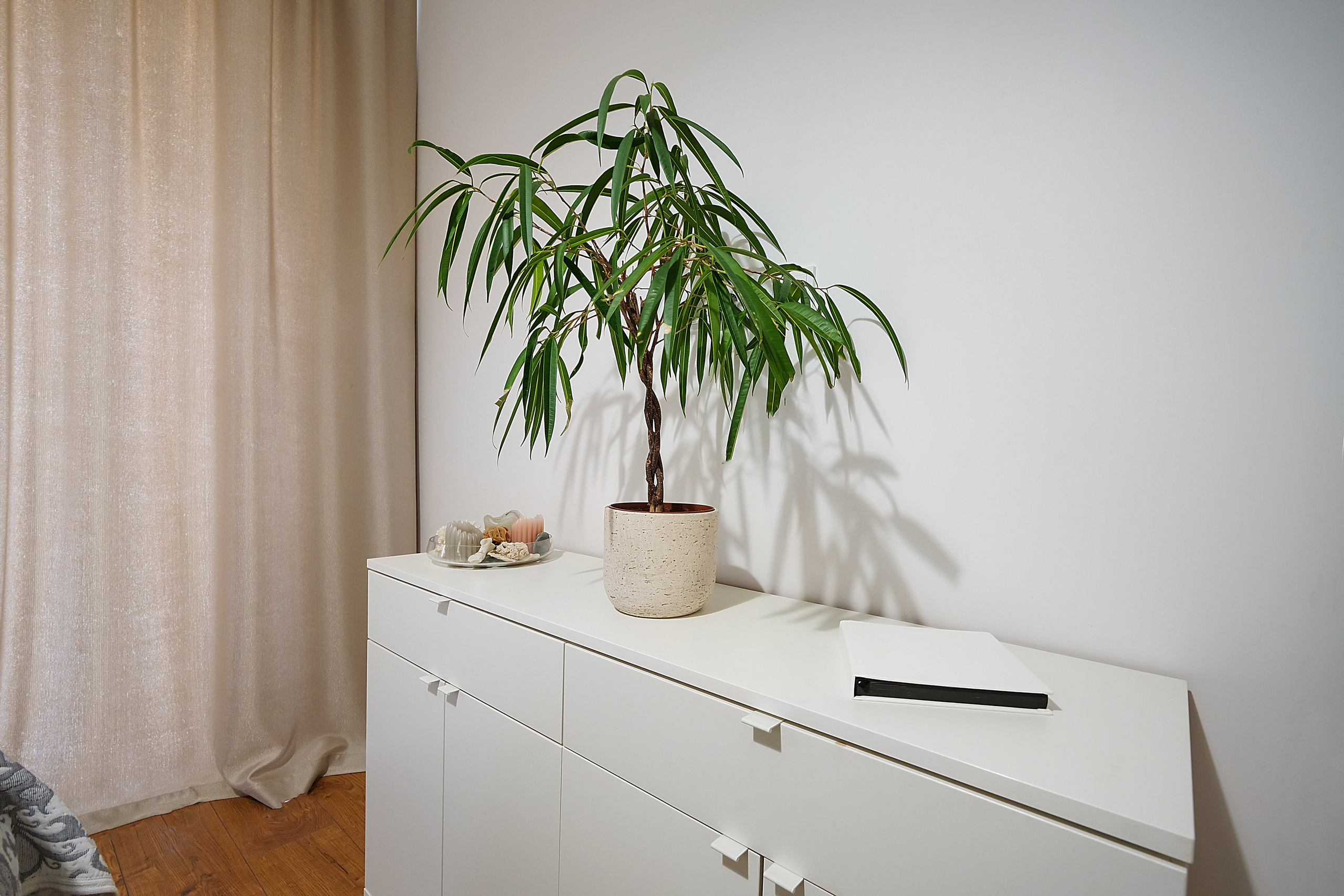 Trakų vokė. Elina Sapiega fotografė Vilniuje