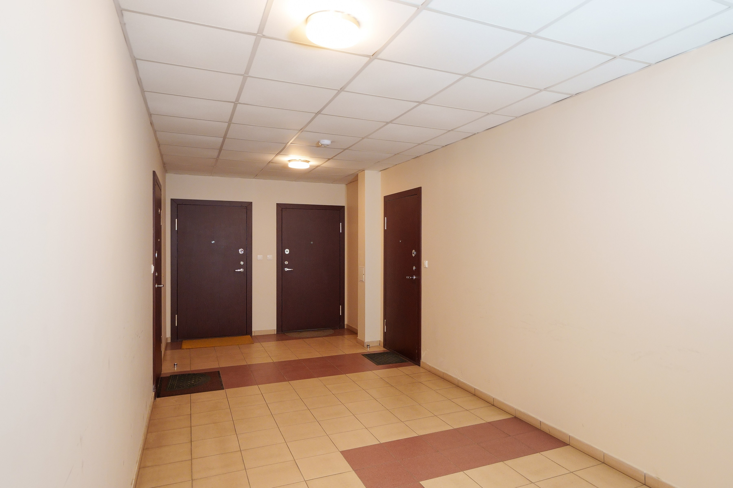 Balčikonio g. 7. Elina Sapiega fotografė Vilniuje