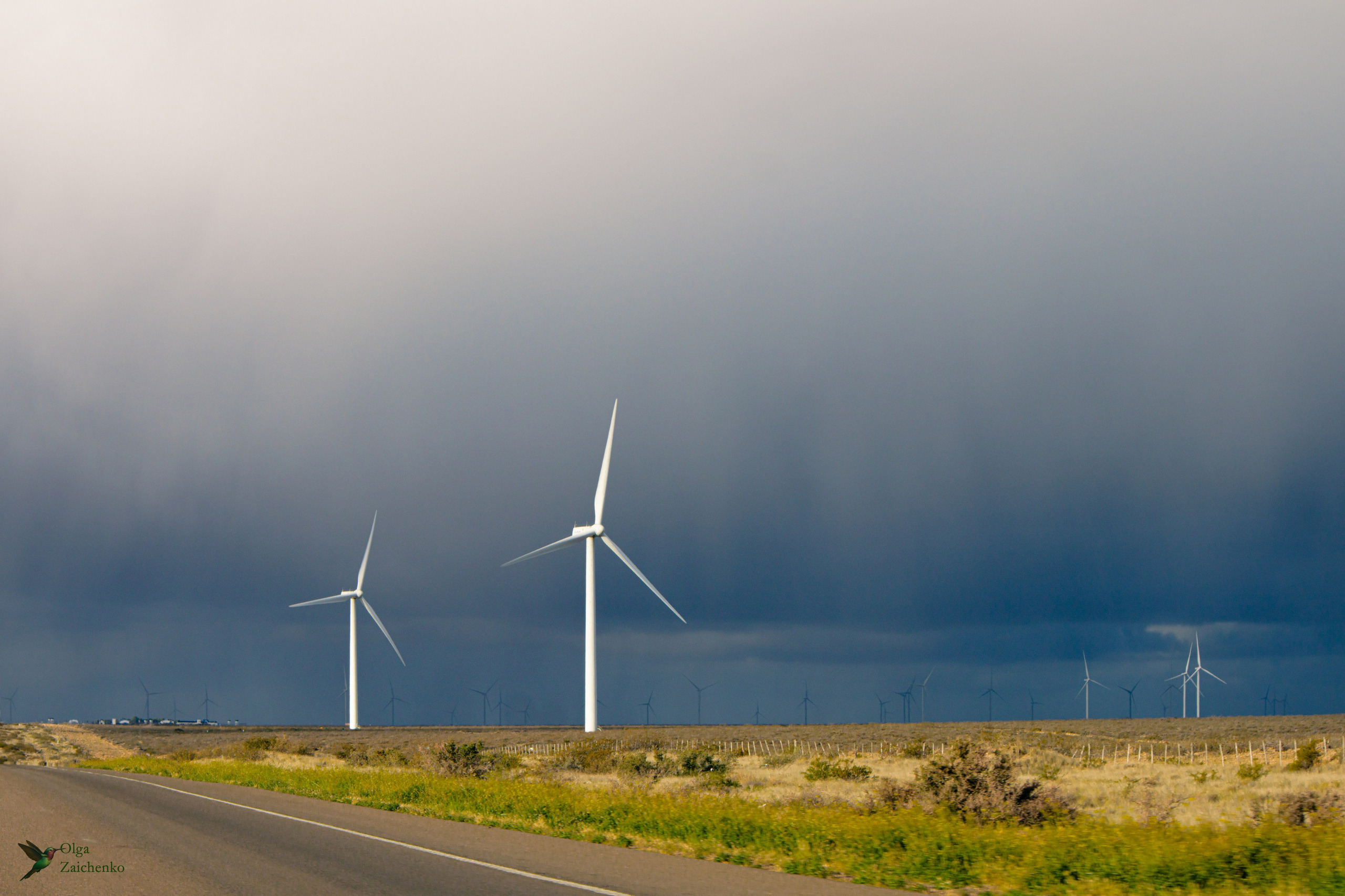 Путешествия. Фотограф в Буэнос-Айресе