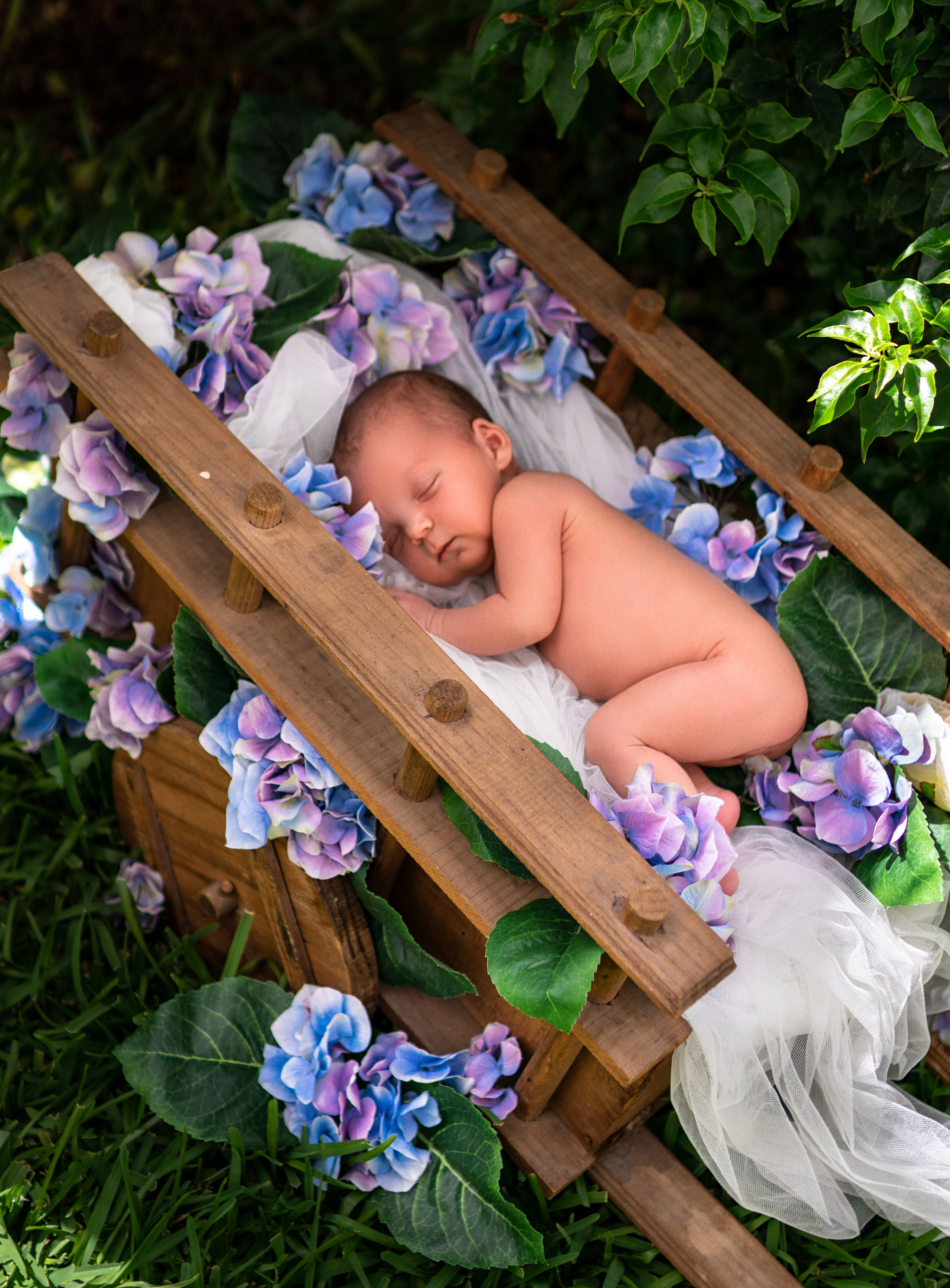 fotografía de recién nacidos en cancún