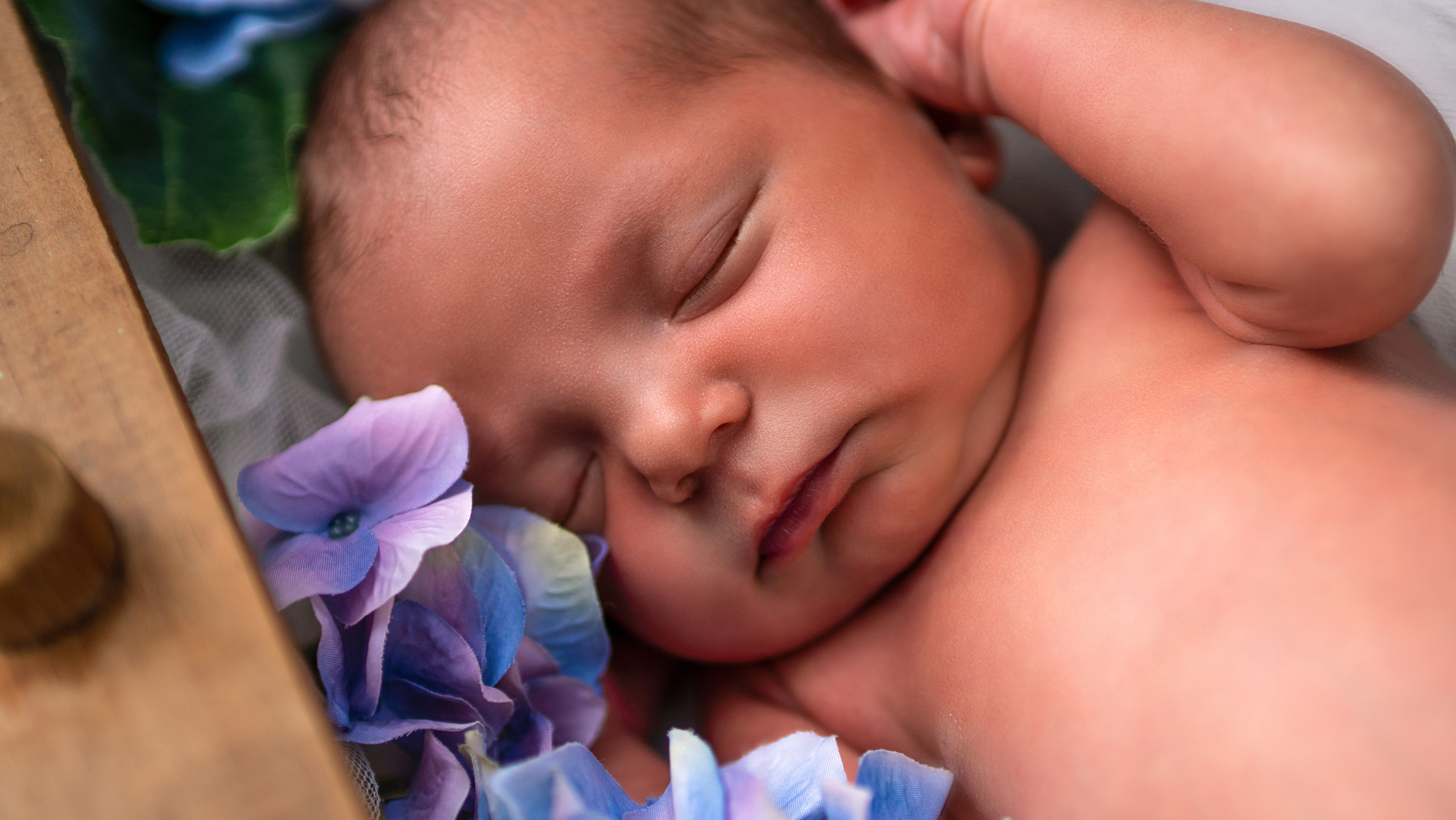 фотосъемка новорожденных канкун