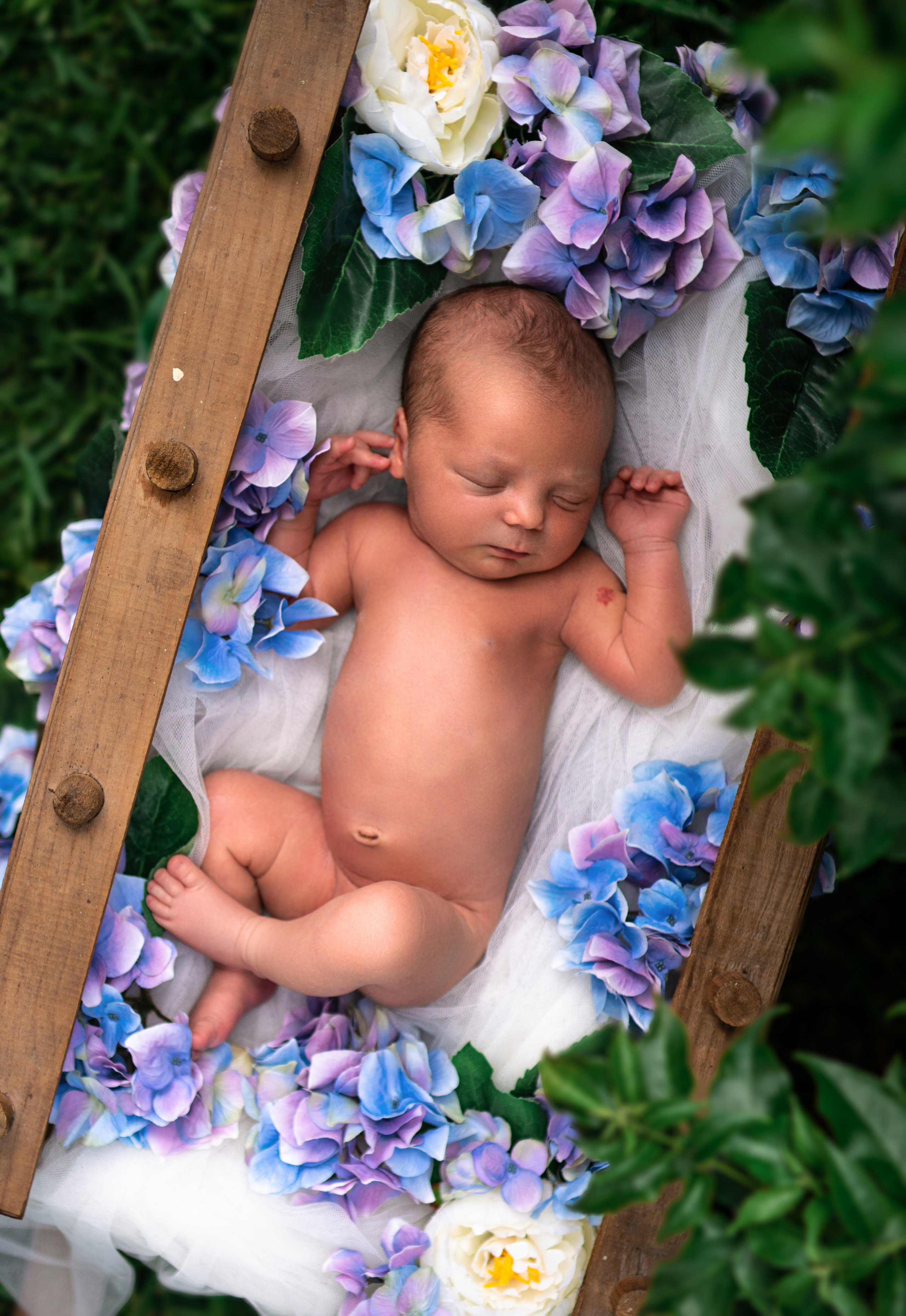 newborn photography in Cancun