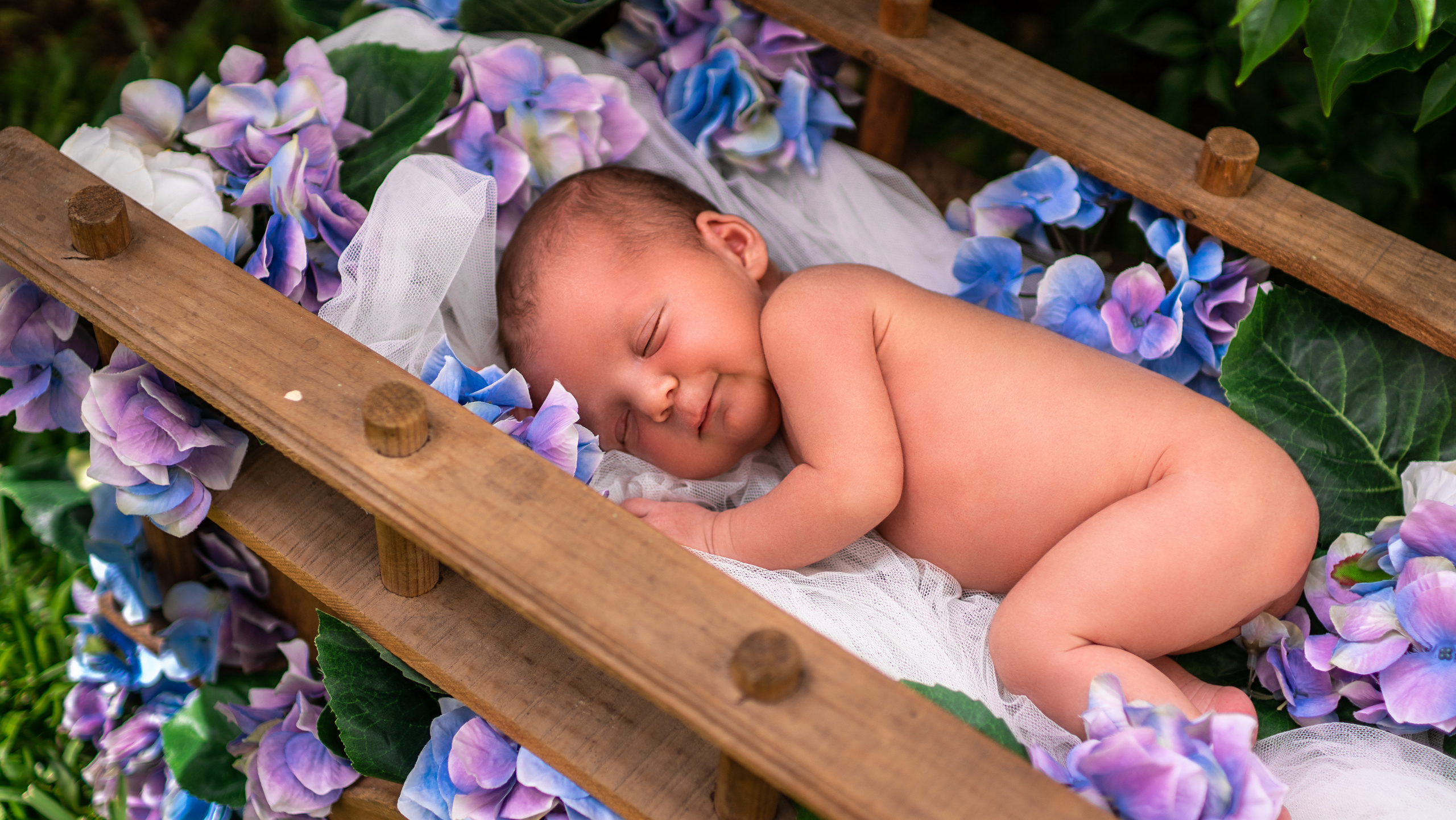 fotografía de recién nacidos en cancún