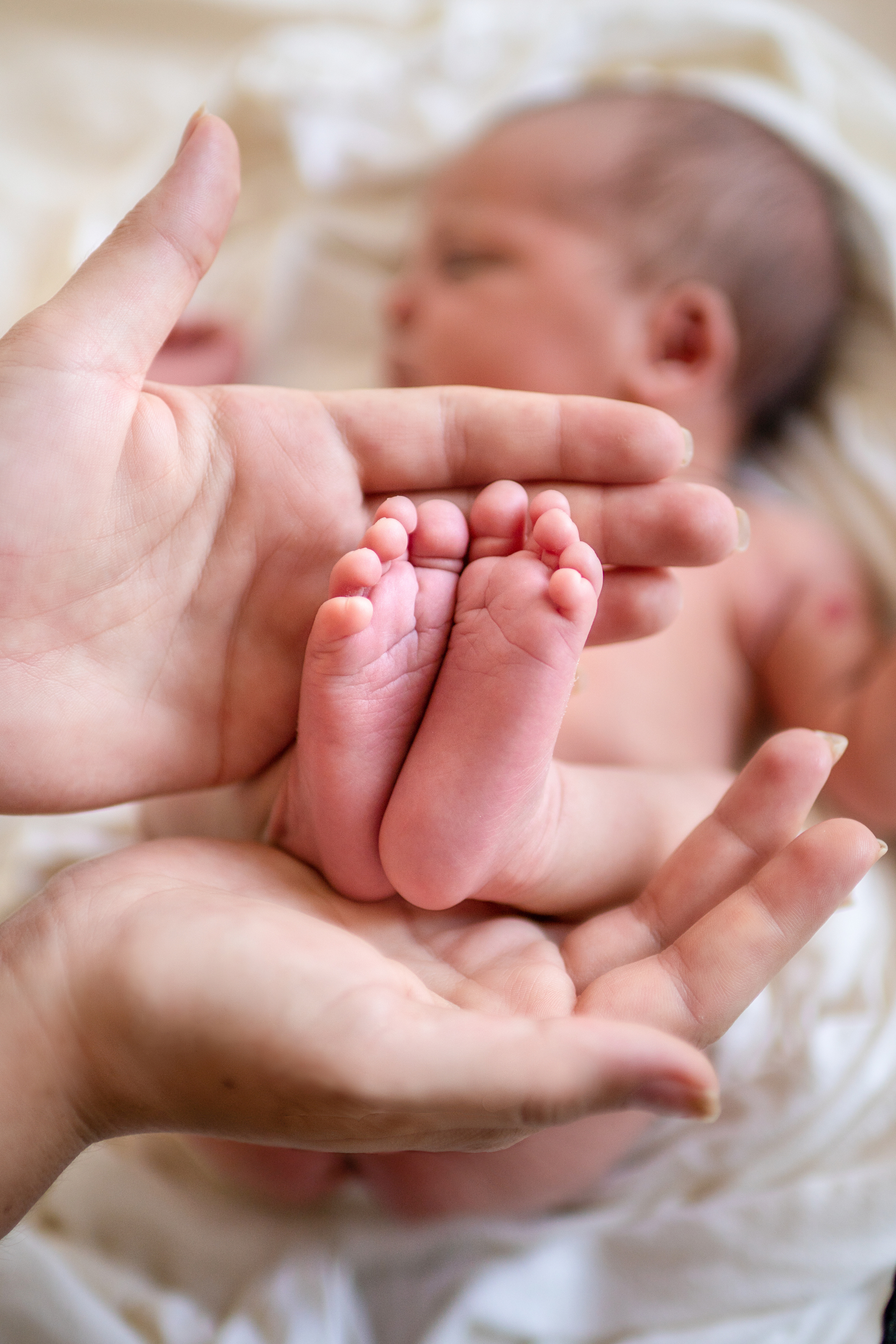 фотосъемка новорожденных канкун