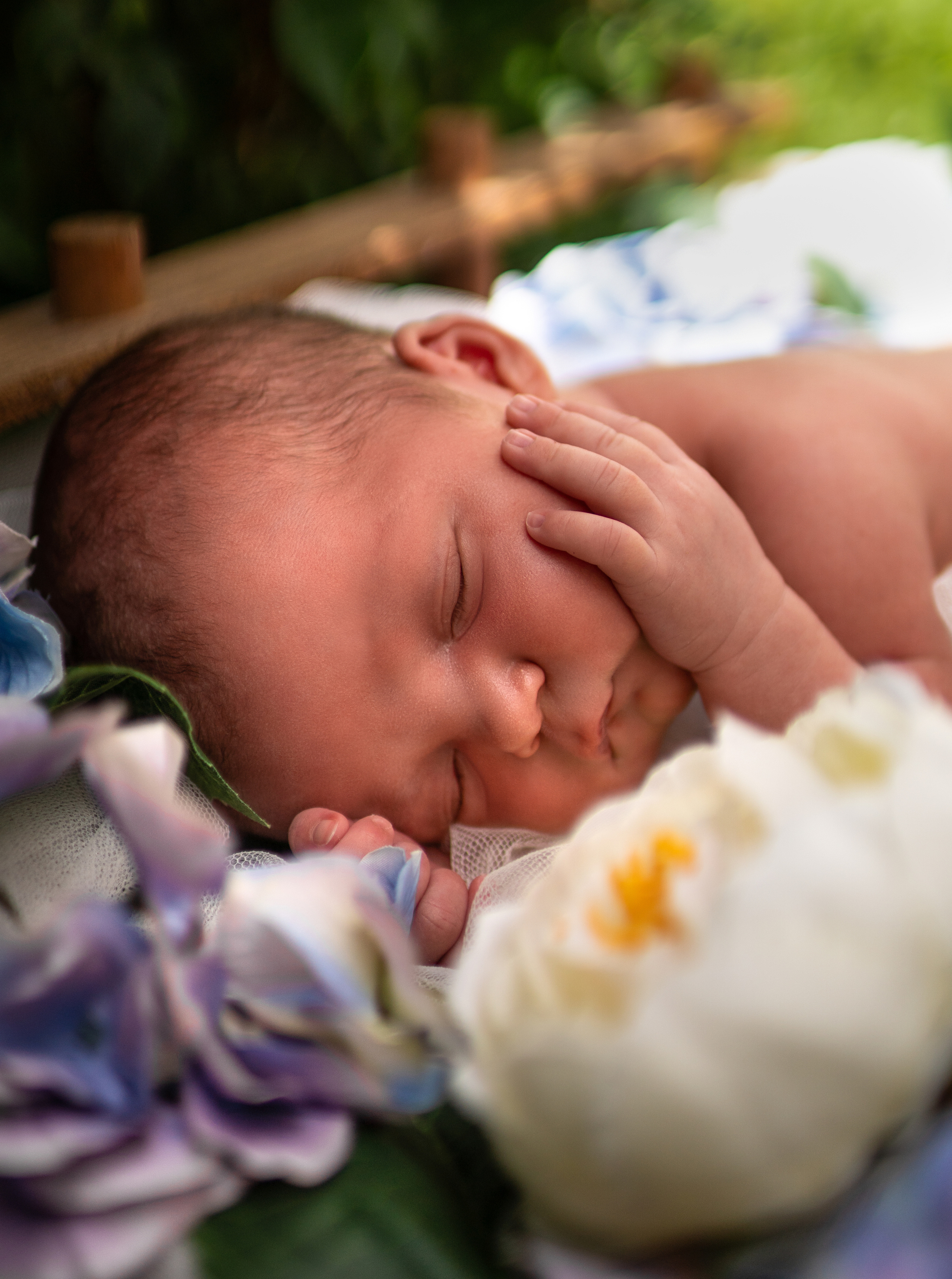 newborn photography in Cancun