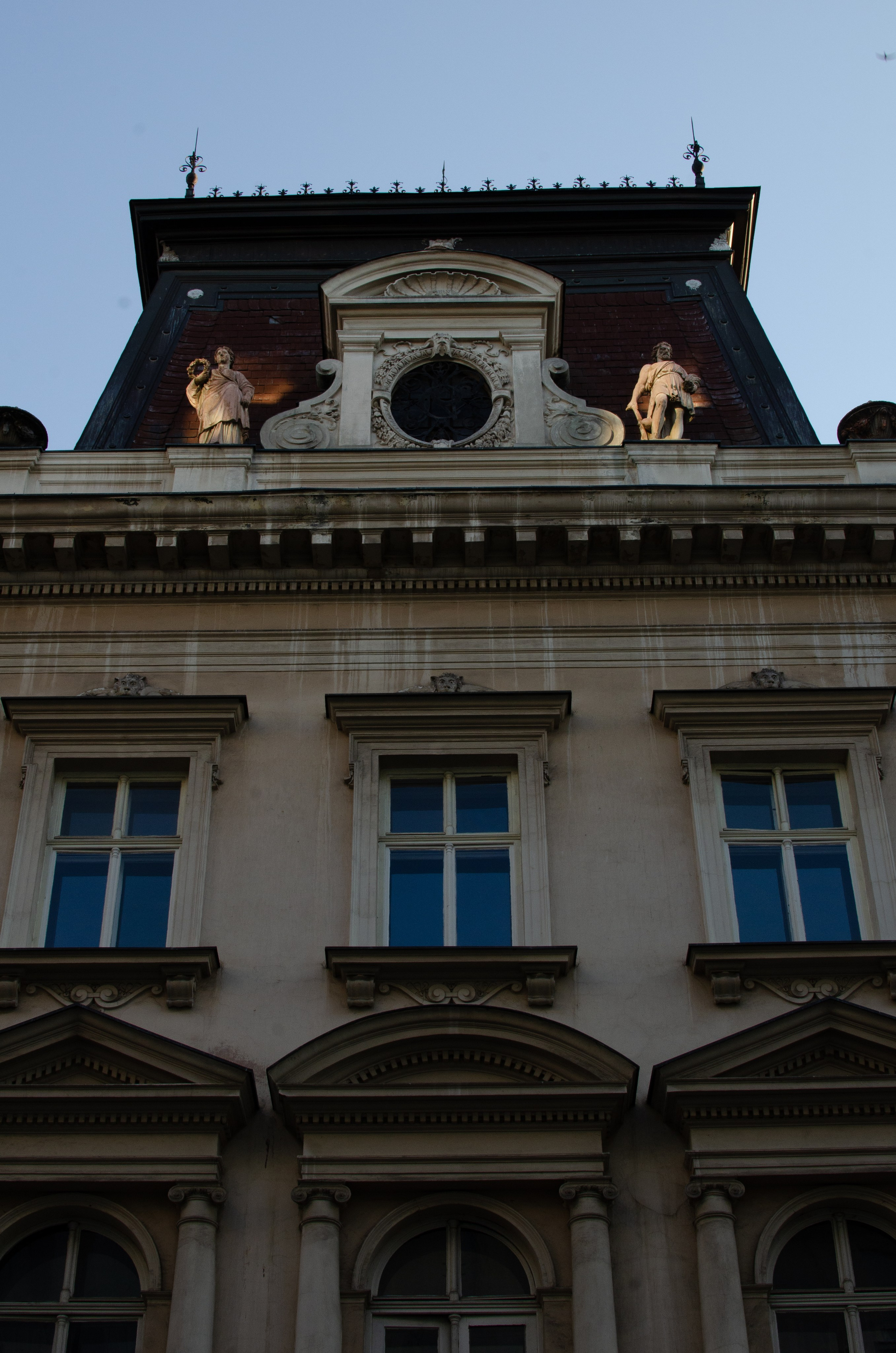 Services. Event photographer Alena Iurchenko