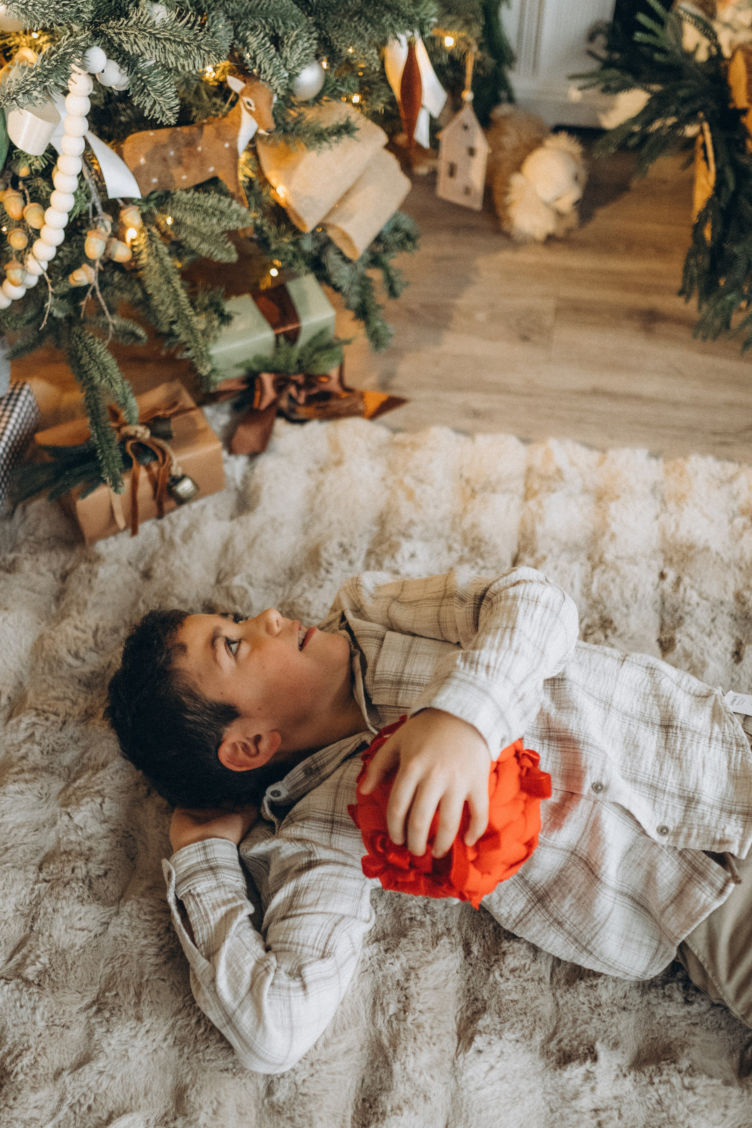 Merry Christmas. Семейный фотограф Лейпциг, Германия